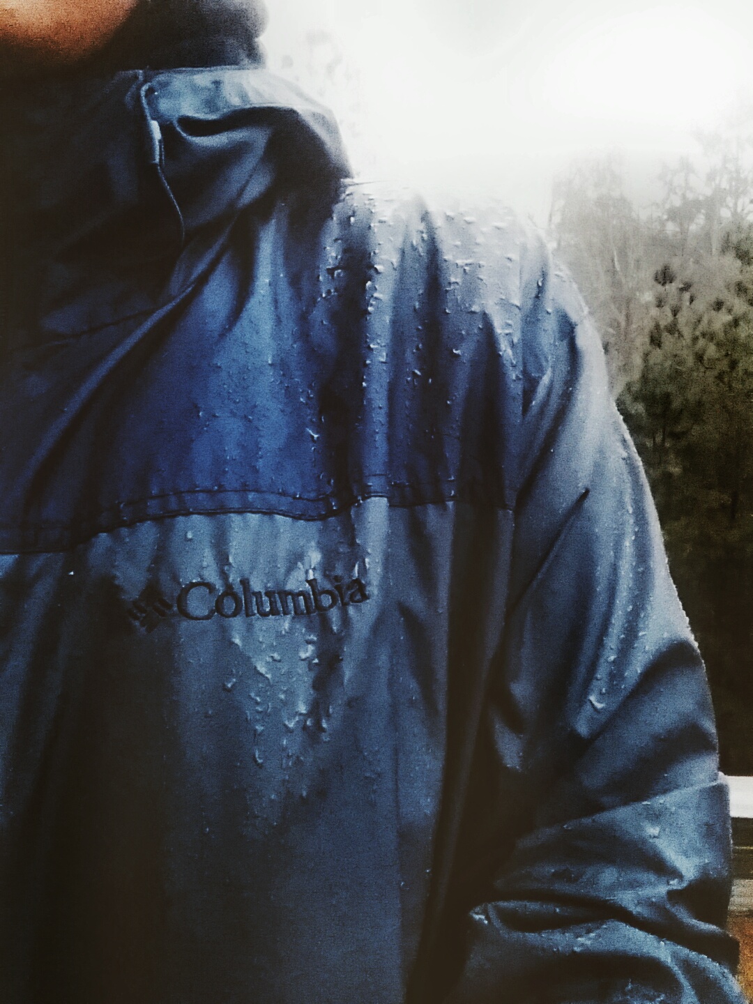 2016-01-15 08.37.17 1-01.jpeg