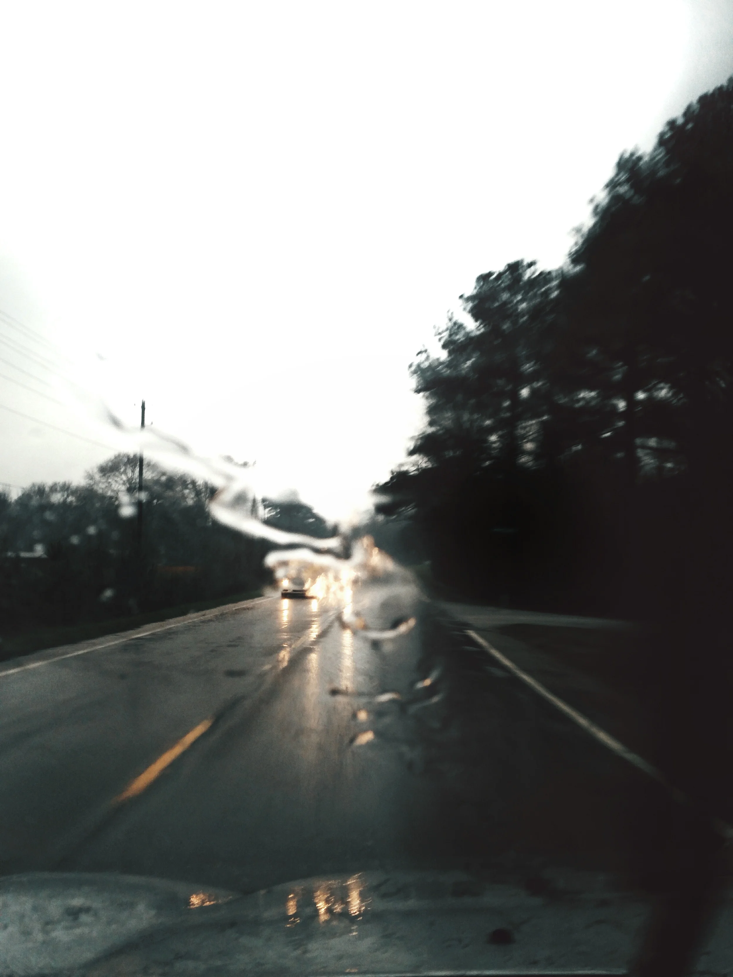 2016-01-15 08.42.38 1-01.jpeg