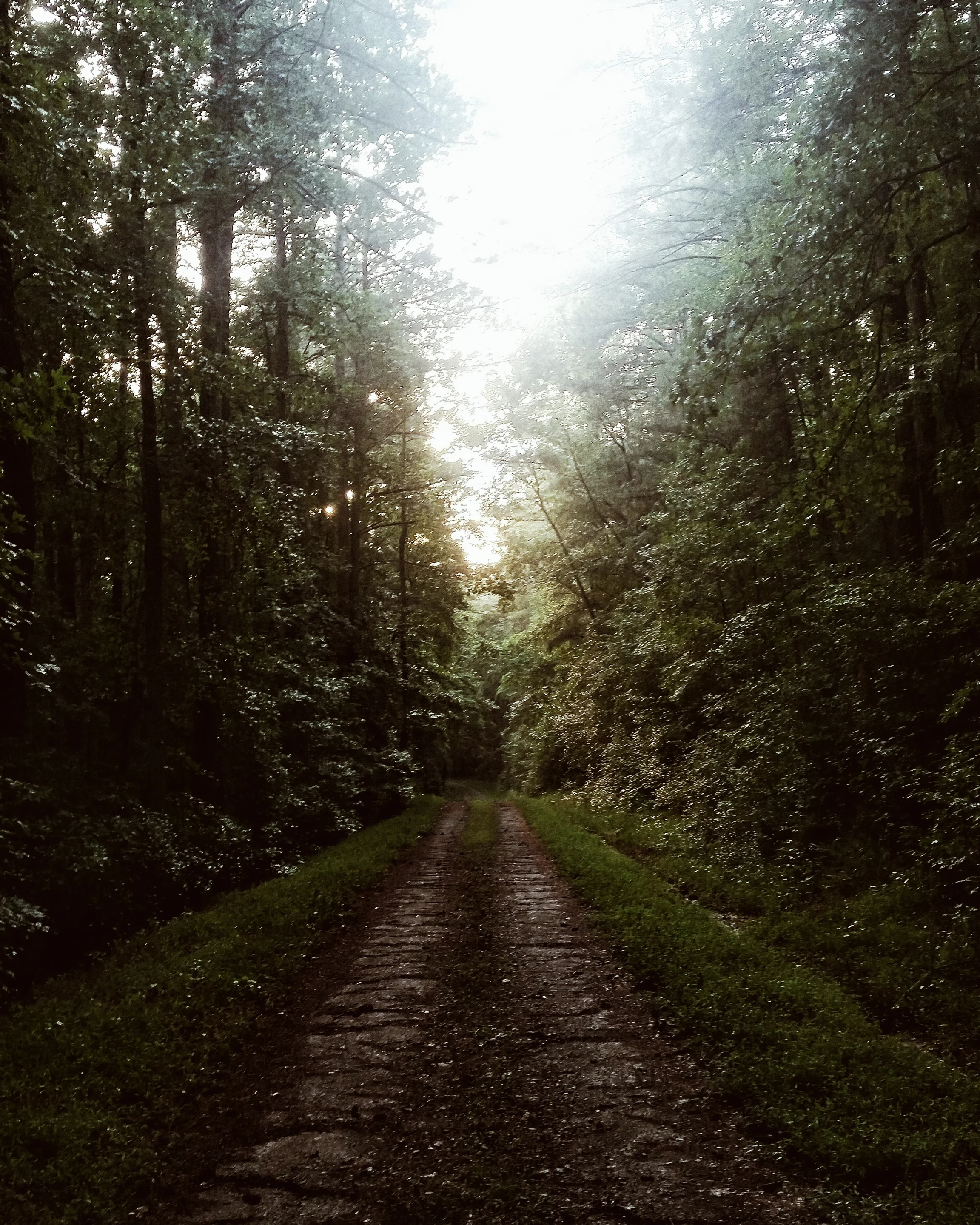 2016-08-03 09.29.22 1.jpg