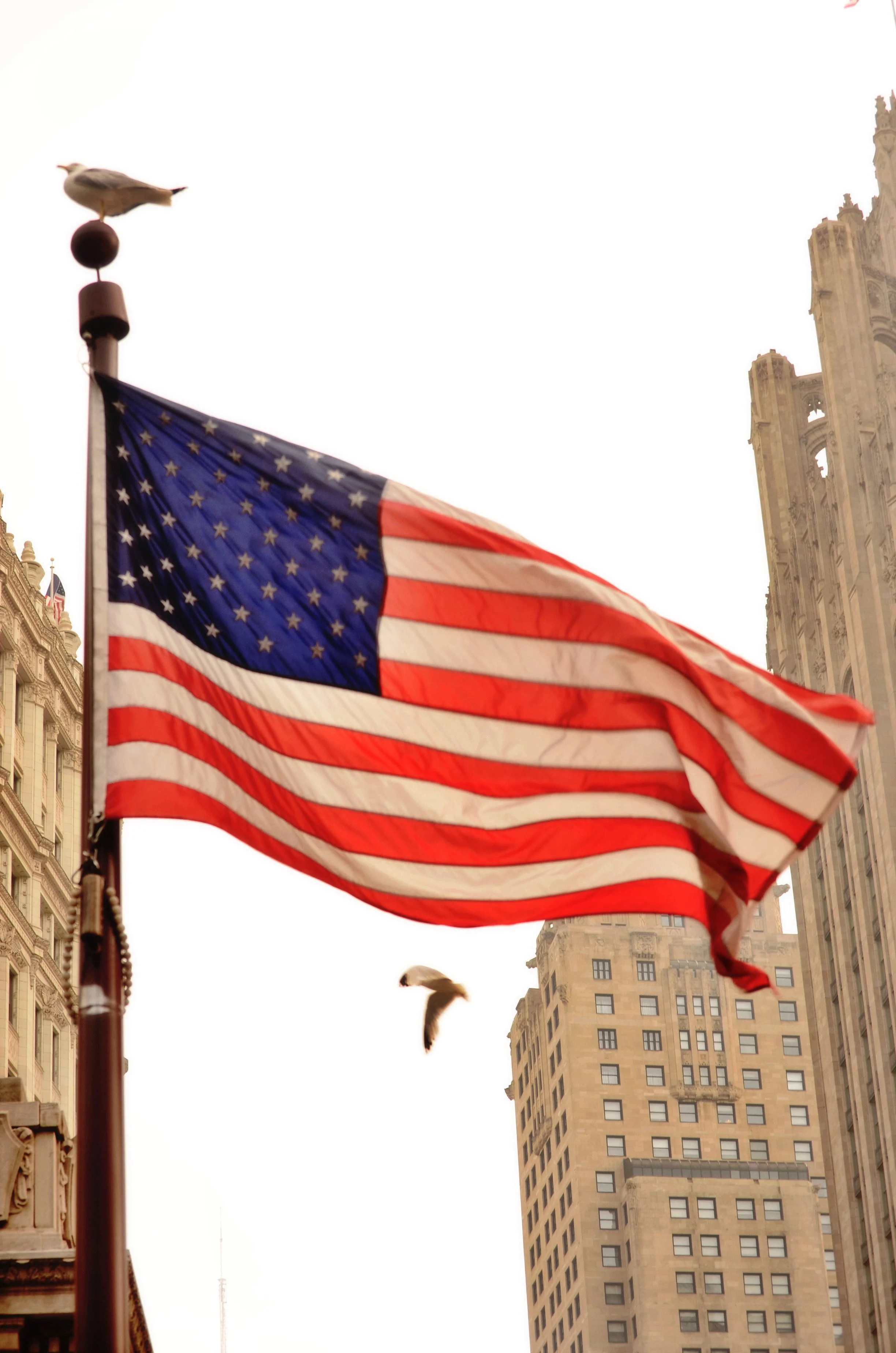 AfterlightImage 14.JPG