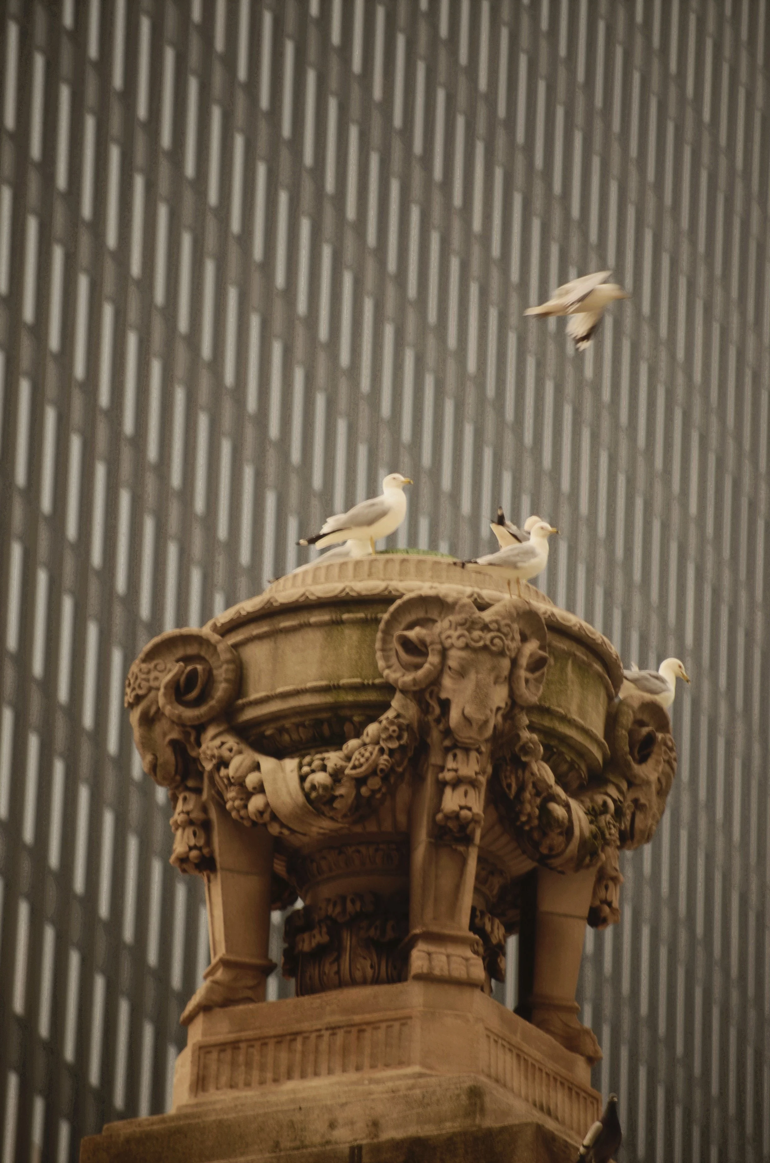 AfterlightImage 15.JPG