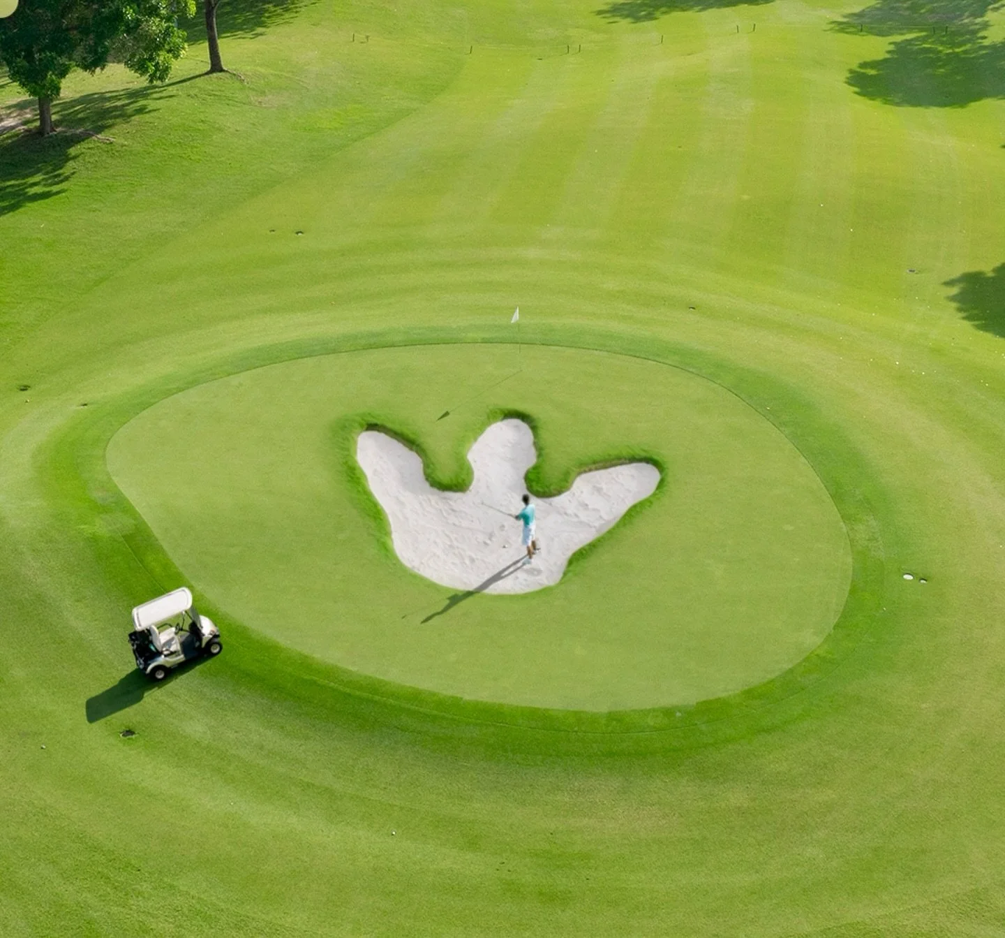 Hazard level: Jurassic

#flyhtstudio 
#golf
#golfcourse
#golflife
#golfstagram
#golfaddict
#golfphotography
#landscapedesign
#designinspiration
#architecture
#creative
#art
#nature
#outdoors
#photography
#instagood
#explorepage
#visualart 
#advertisi