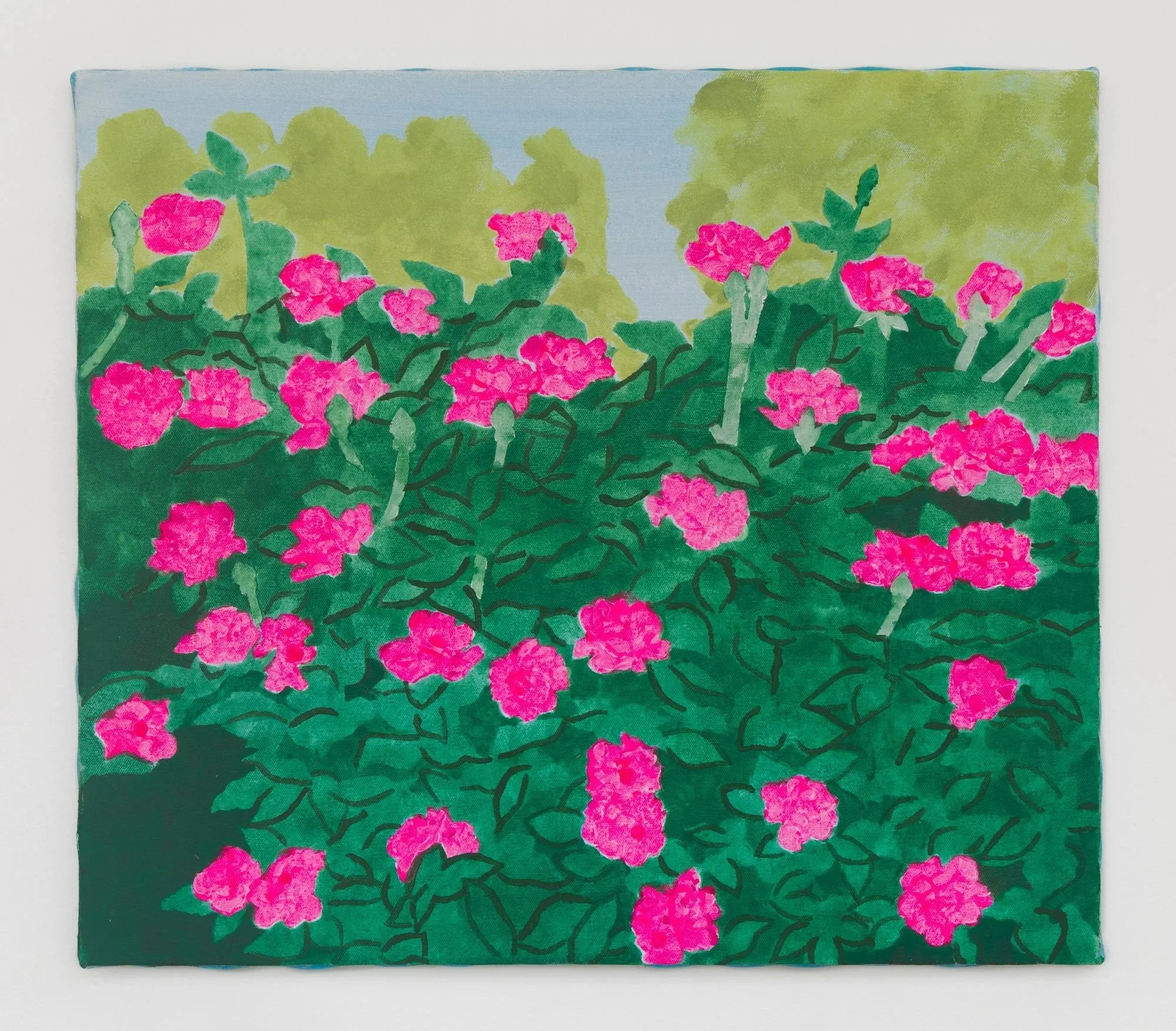 Cranford Rose Garden