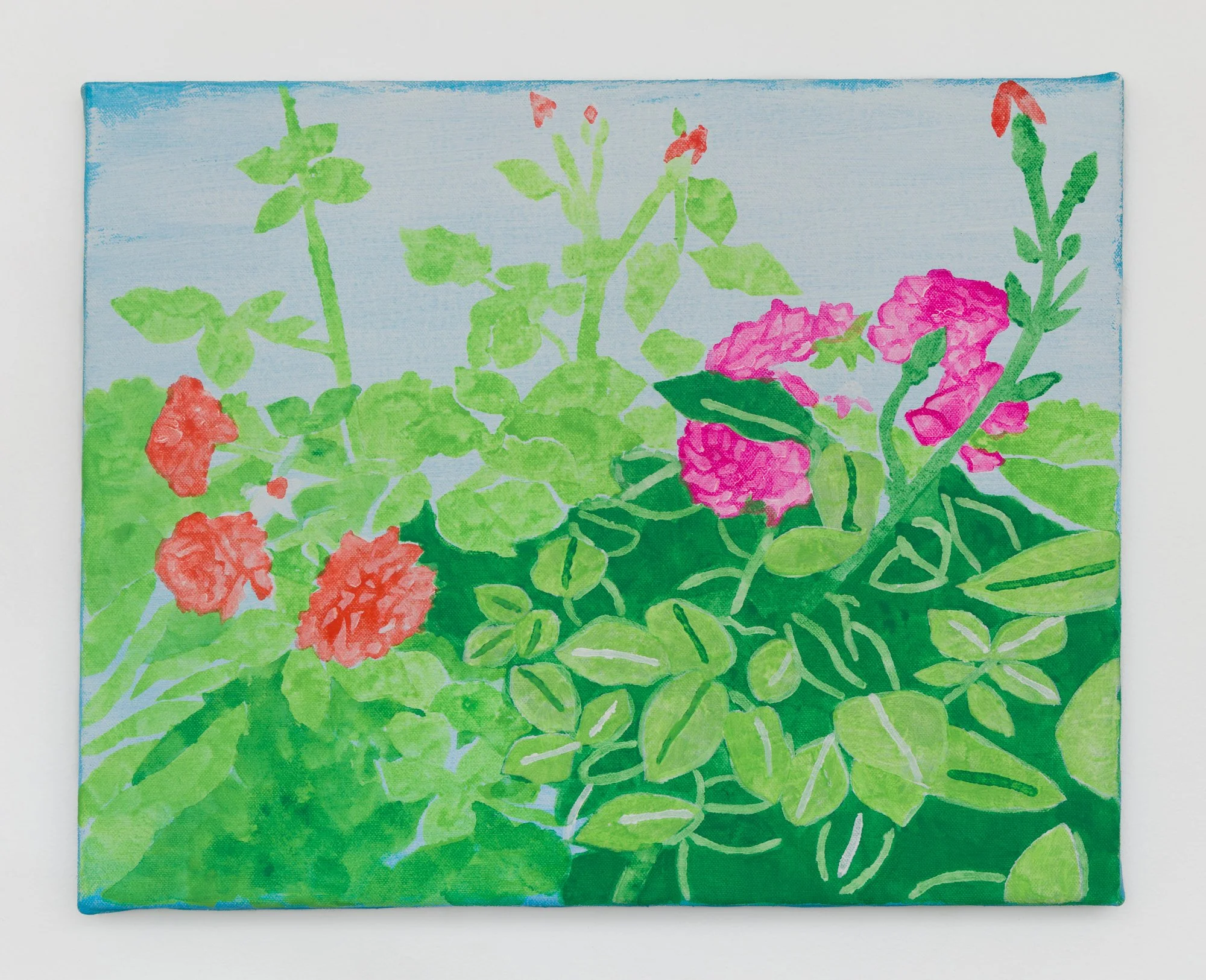 Rosebush