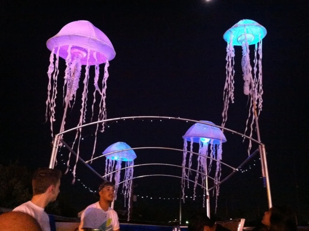 Jellyfish on Llama Bus