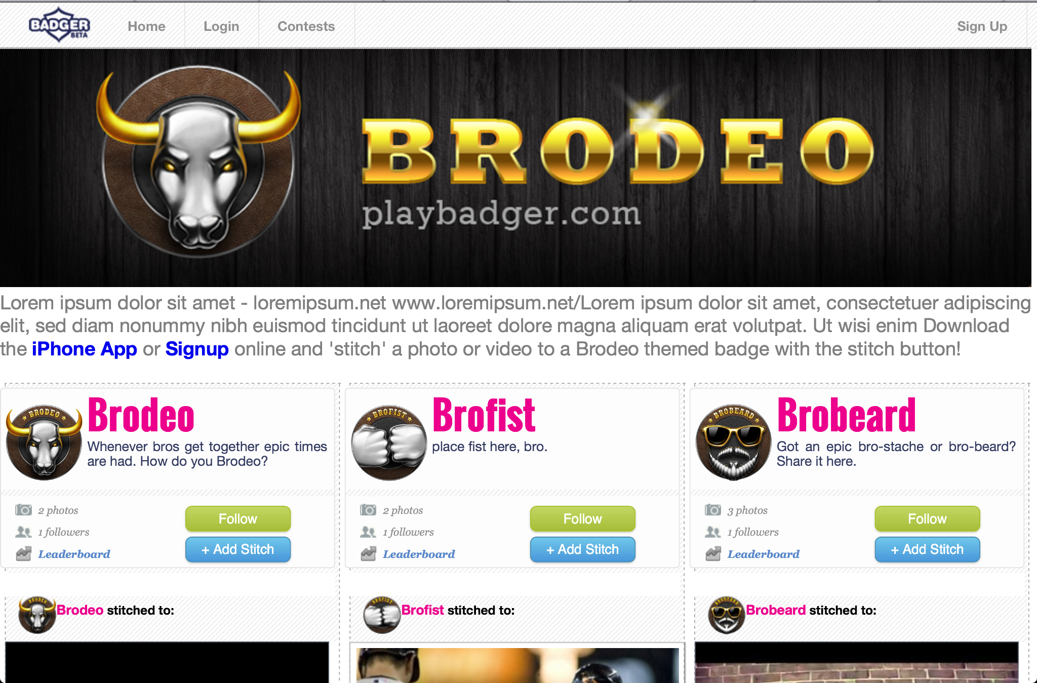 brodeo1.png