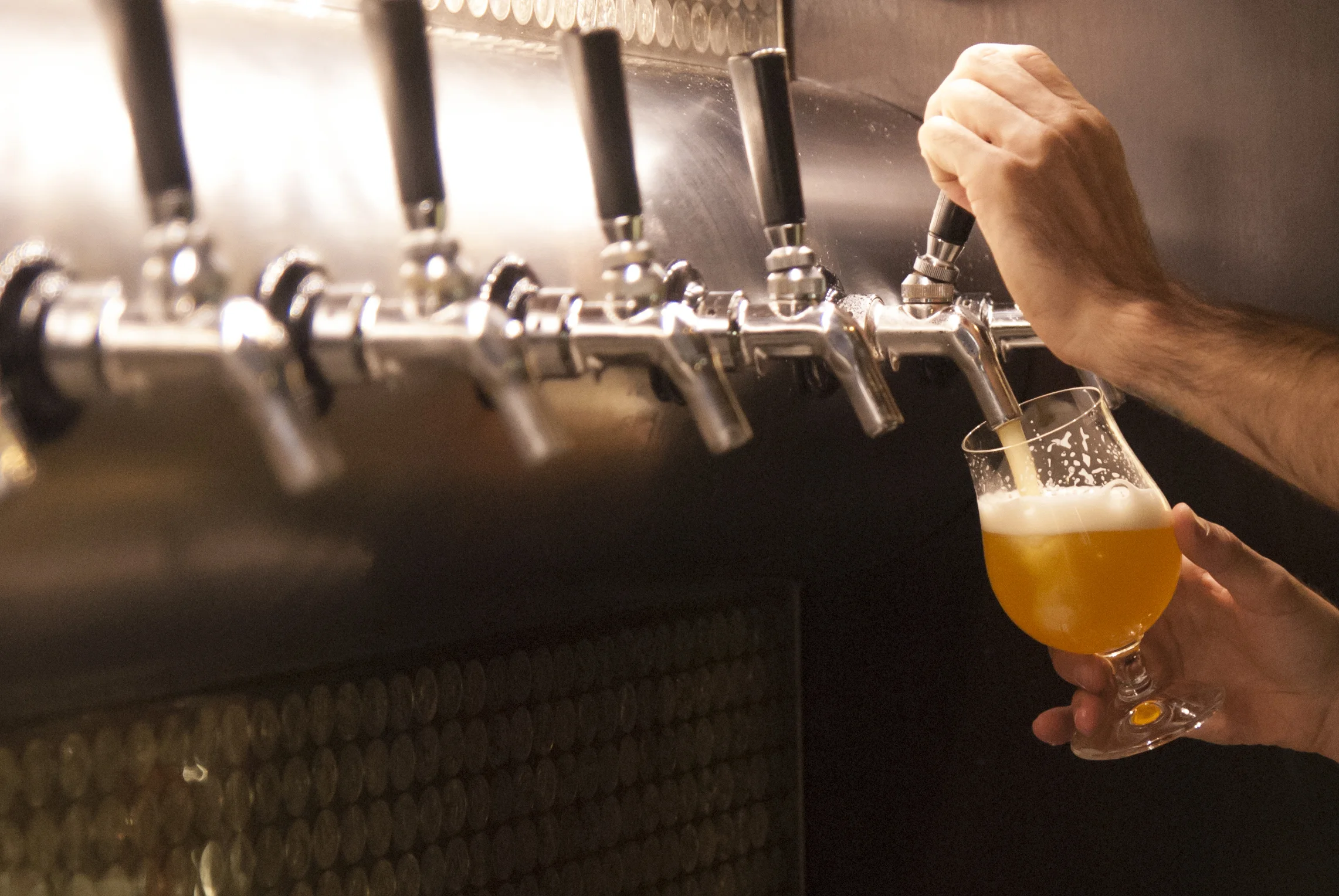 Drinks with: WNY Brews Podcast