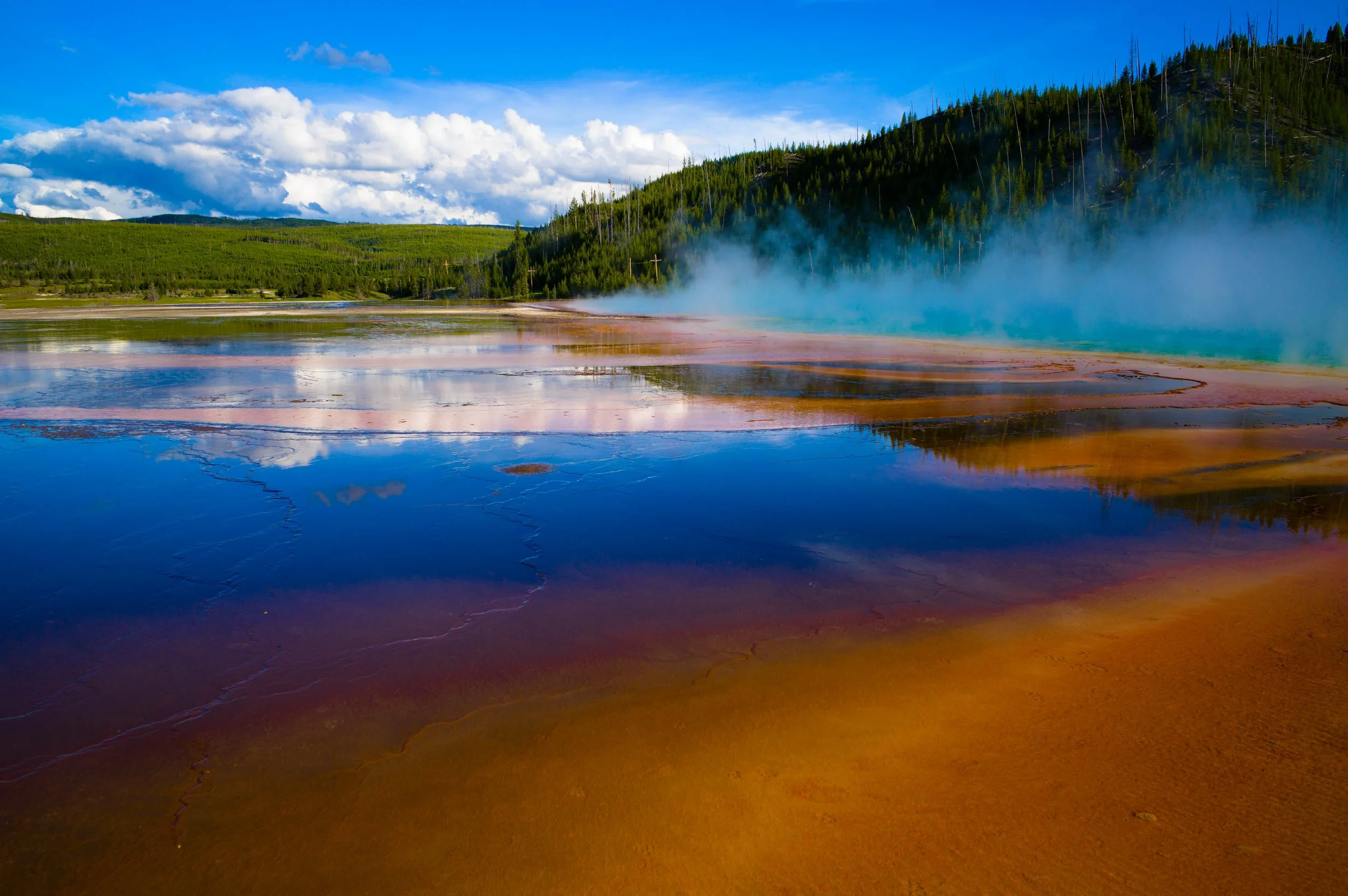 The Yellowstone Extravaganza