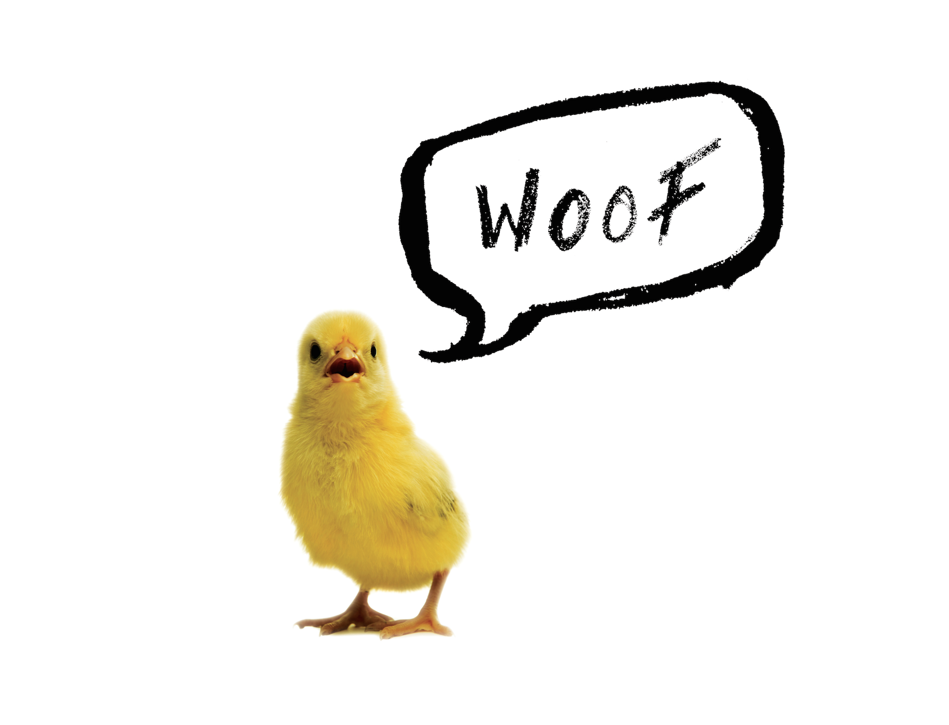 Screen Shot 2016-01-10 at 3.06.55 PM.png