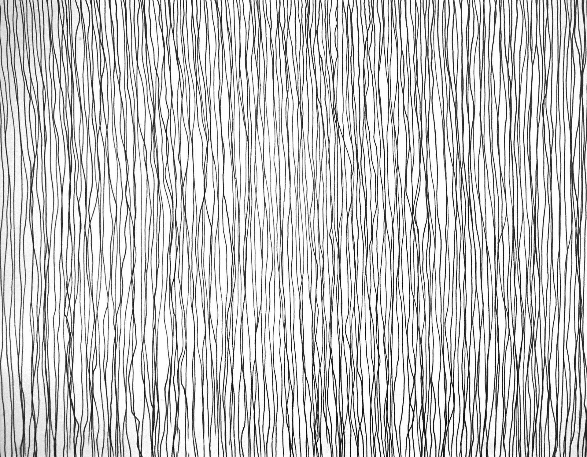 Black Lines 14.jpg