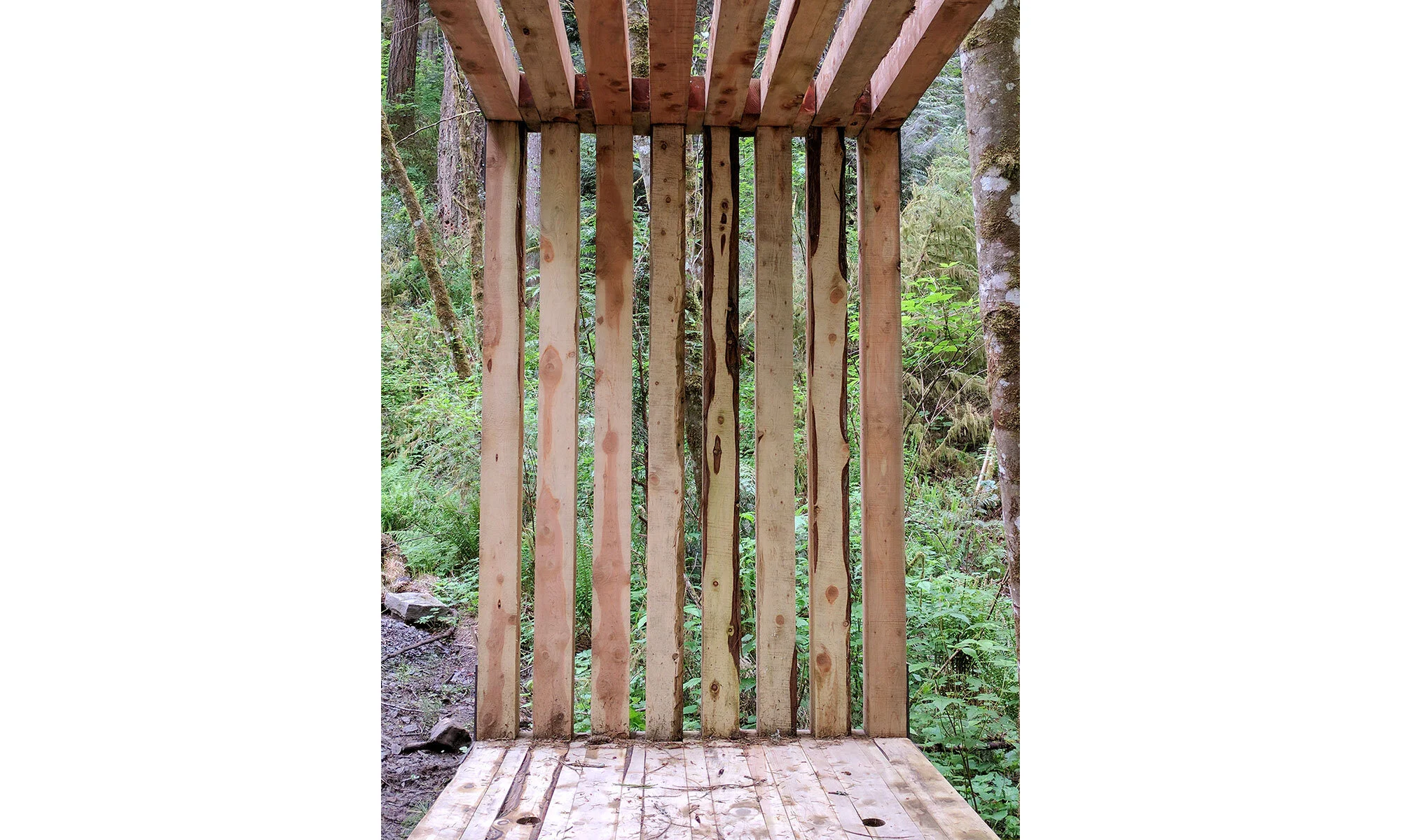 Ancient-forest-preserve-kiosk-3.jpg