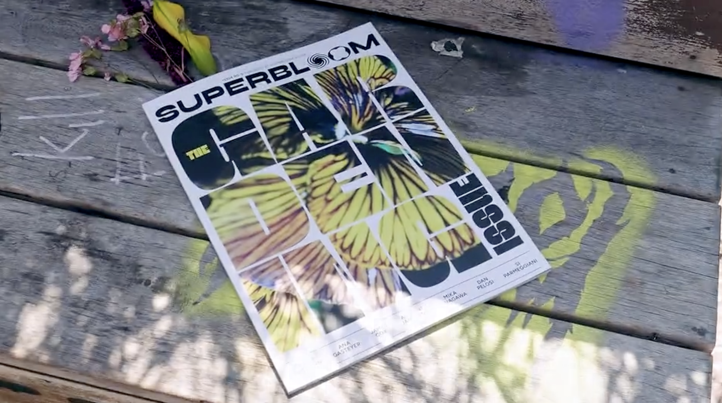 SuperBloom House Zine Launch - Summer 2026 