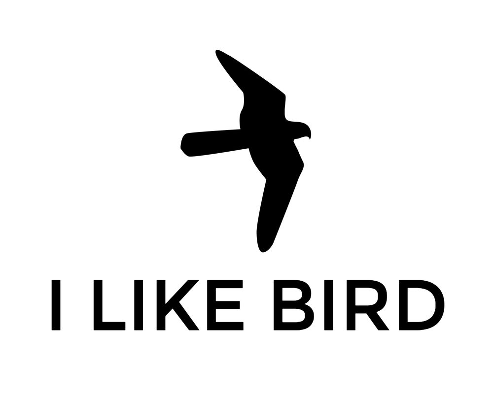 I LIKE BIRD