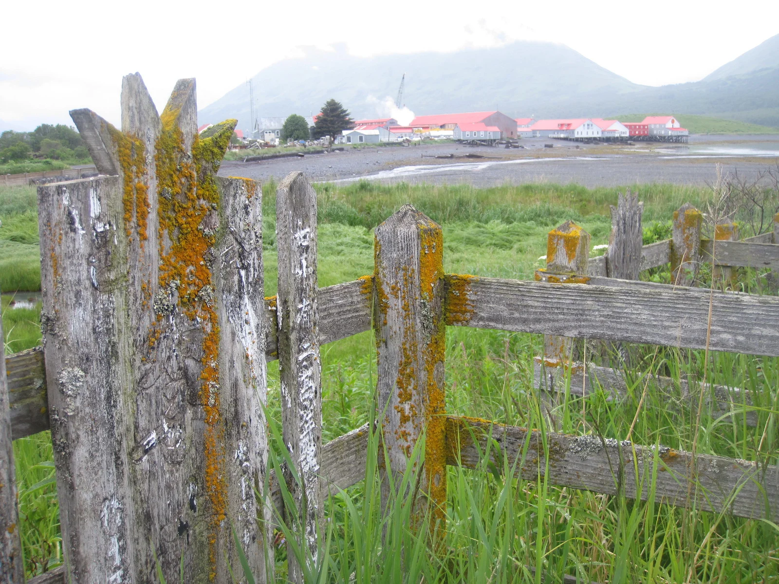Chinese graves at Larsen Bay Cannery