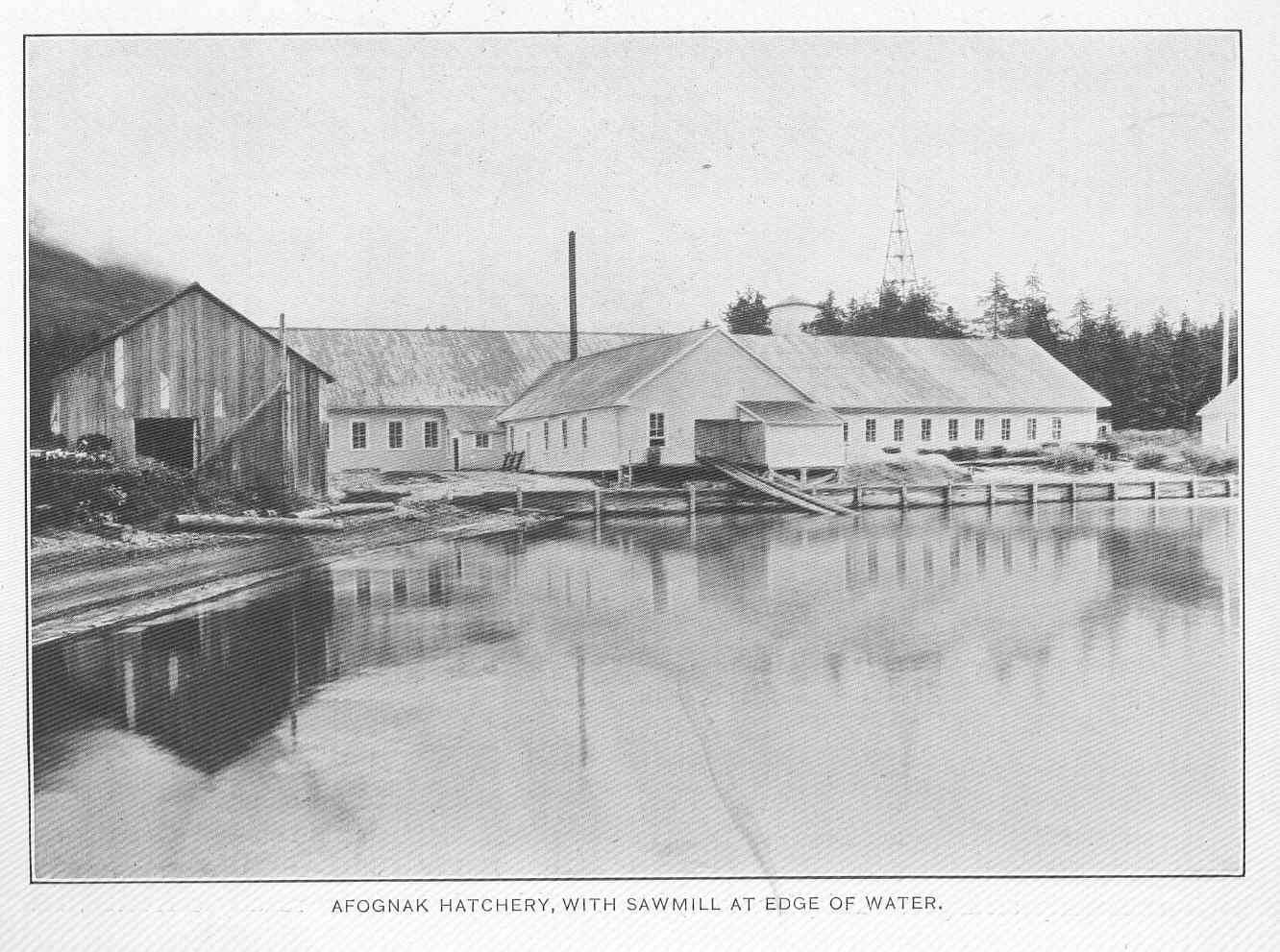 Photo from Bureau of Fisheries publication and made available here . 