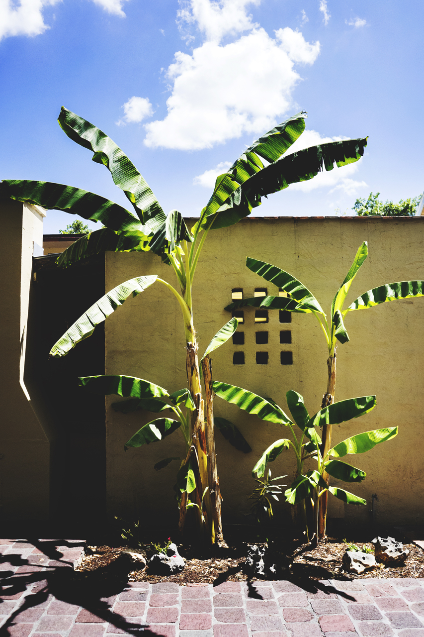 san-antonio-riverwalk-photographer10.jpg