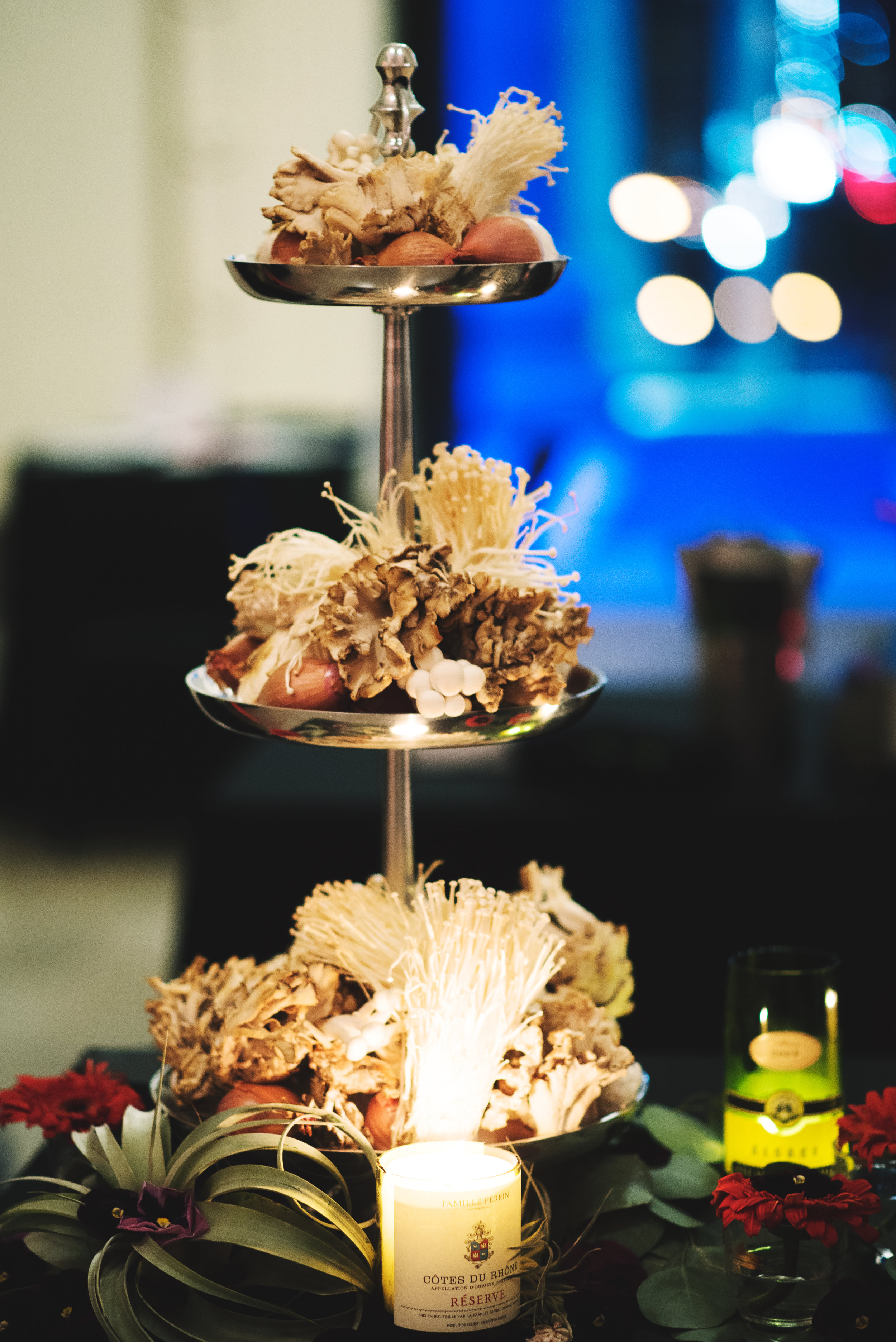 SnowBall-FieldMuseum-Chicago-Fundraiser005.jpg