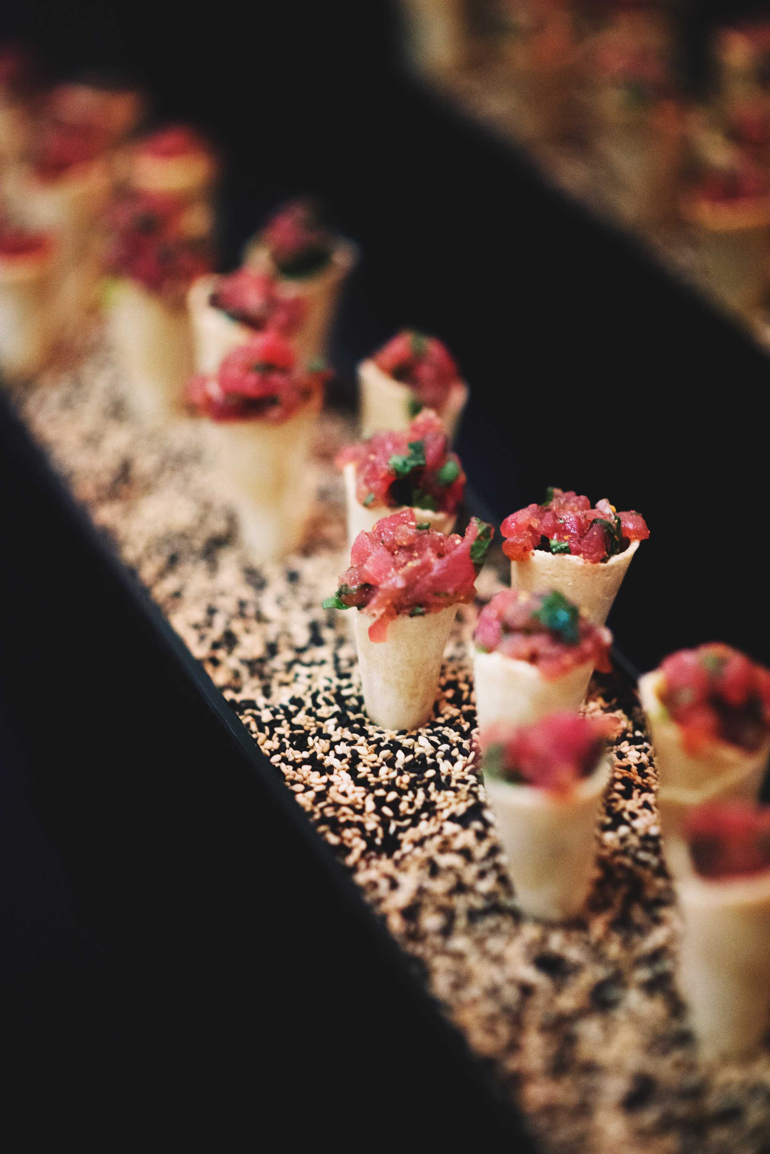 SnowBall-FieldMuseum-Chicago-Fundraiser006.jpg