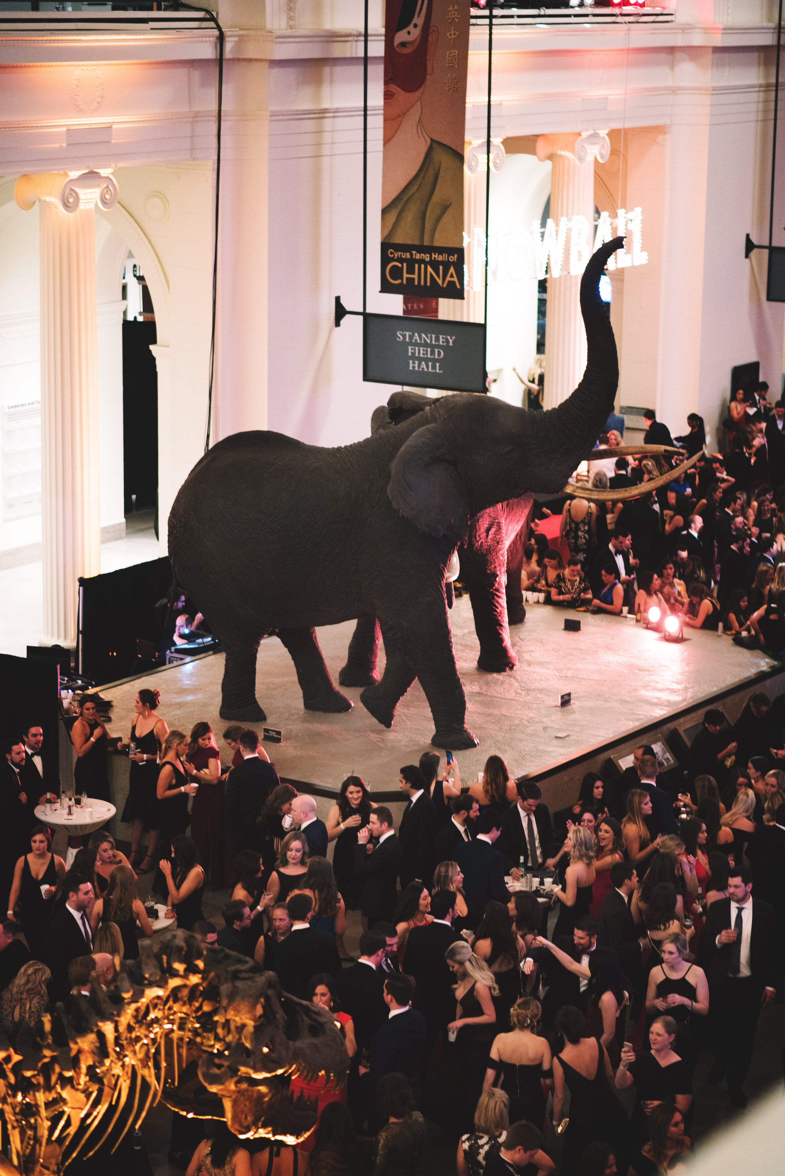 SnowBall-FieldMuseum-Chicago-Fundraiser021.jpg
