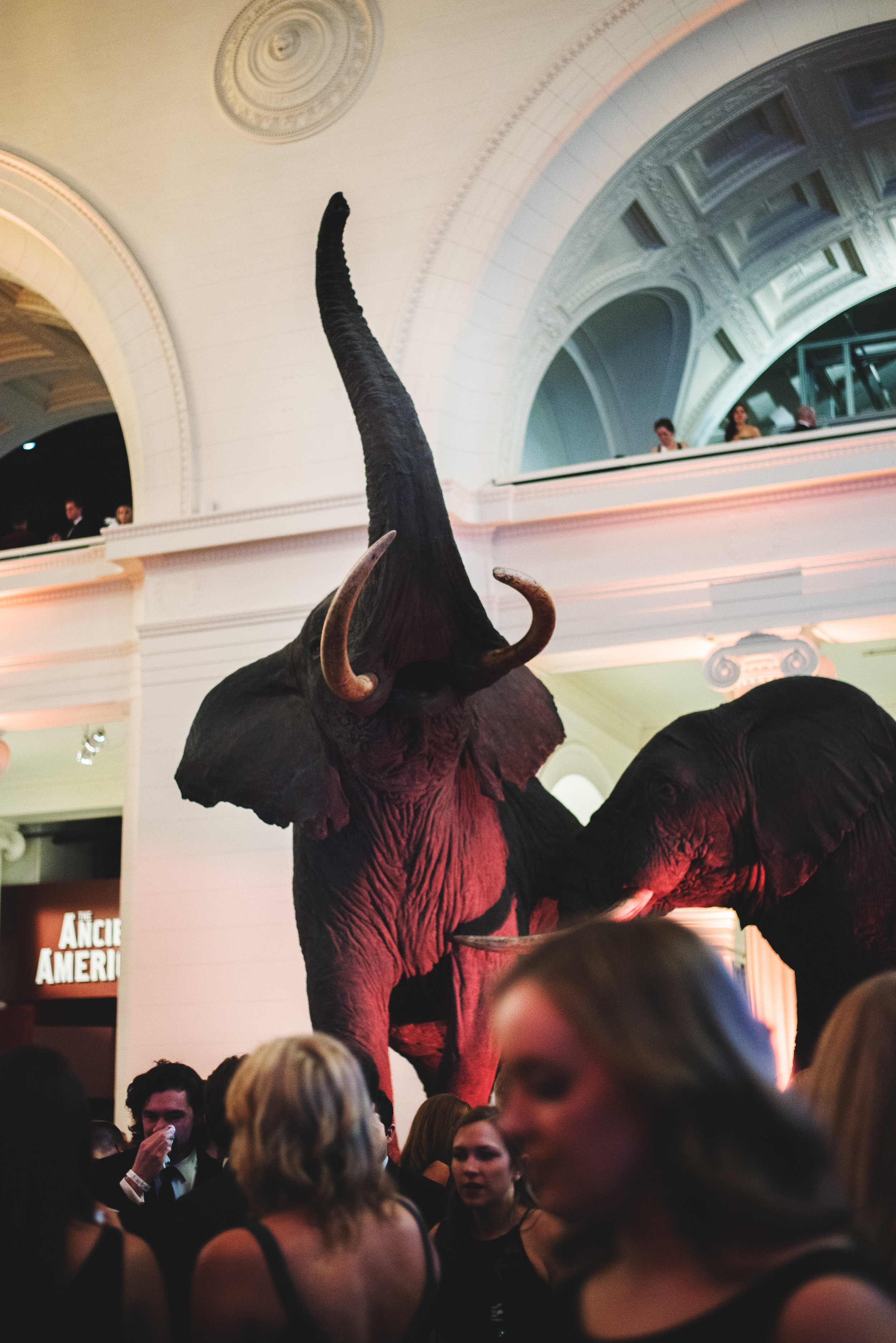 SnowBall-FieldMuseum-Chicago-Fundraiser039.jpg