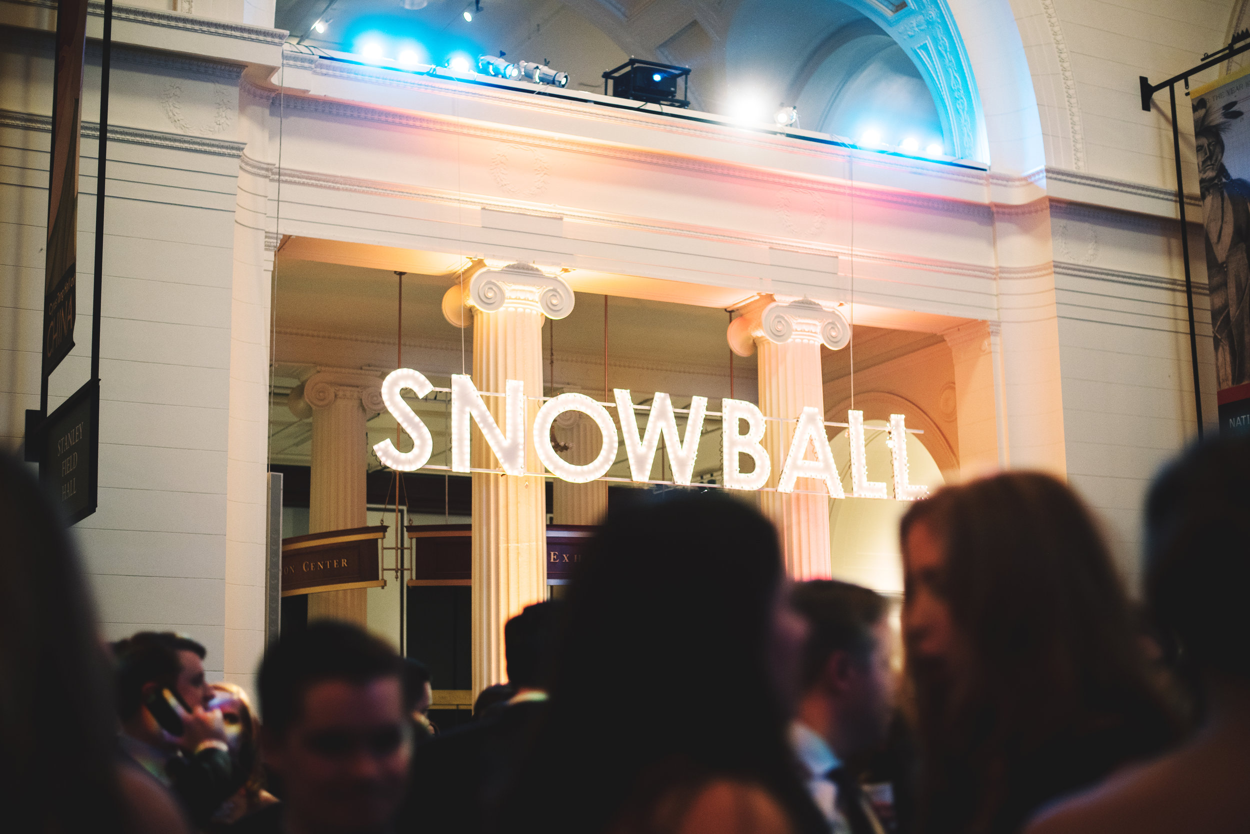 SnowBall-FieldMuseum-Chicago-Fundraiser040.jpg