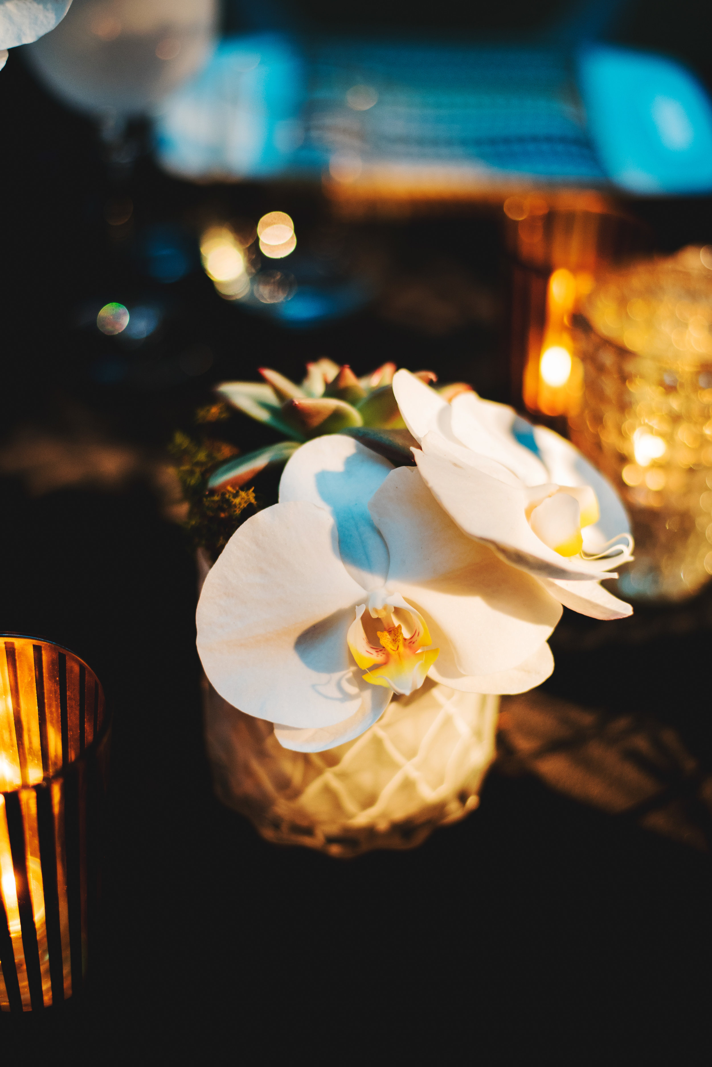 TheFlowerFirm-Event-Chicago00003.jpg