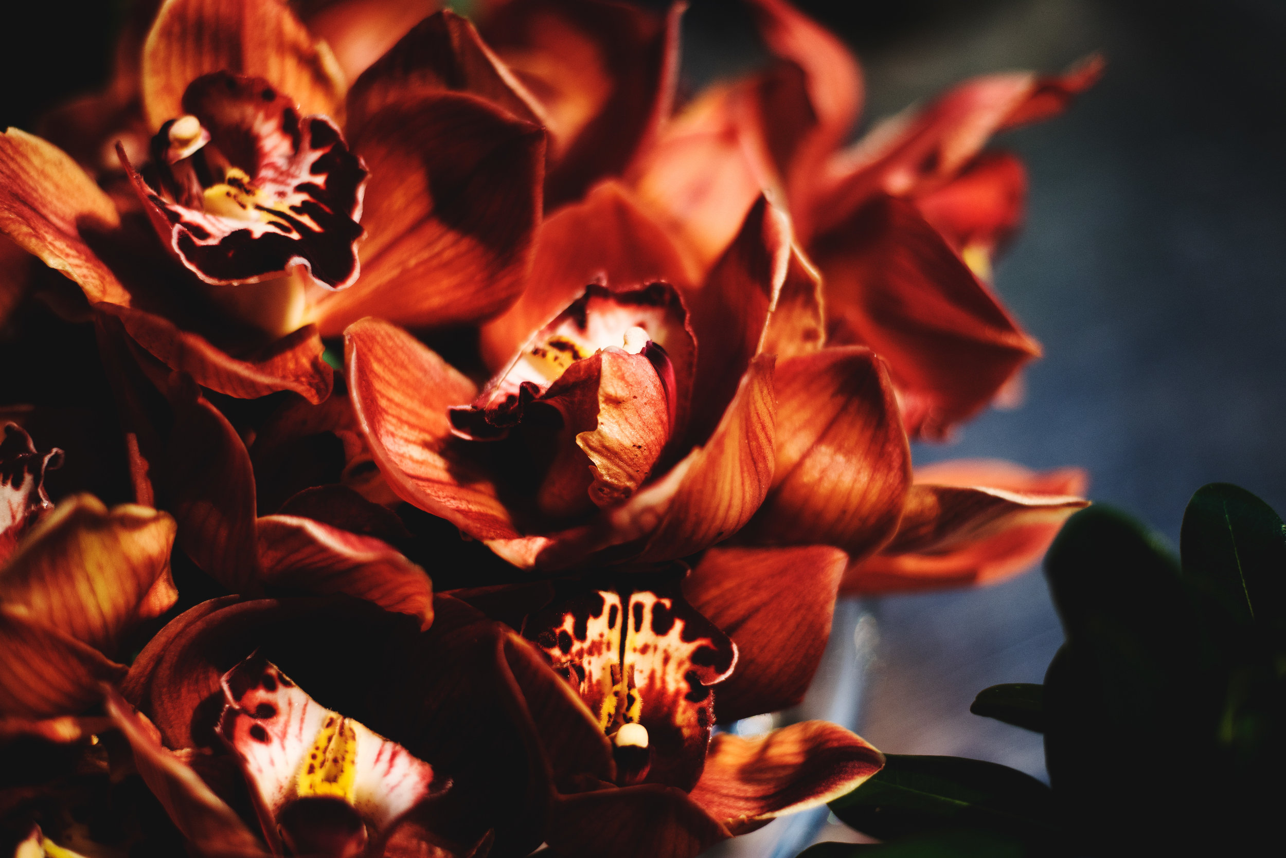 TheFlowerFirm-Event-Chicago00043.jpg