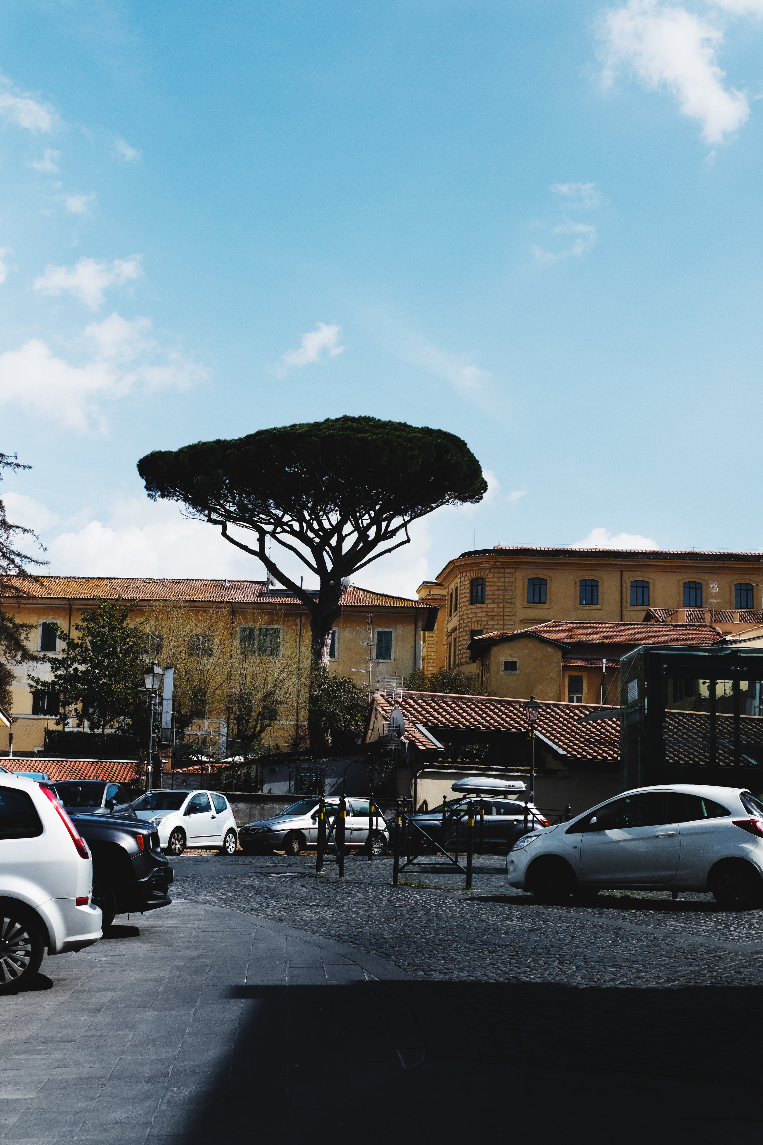Rome-Frascatti_0281.jpg