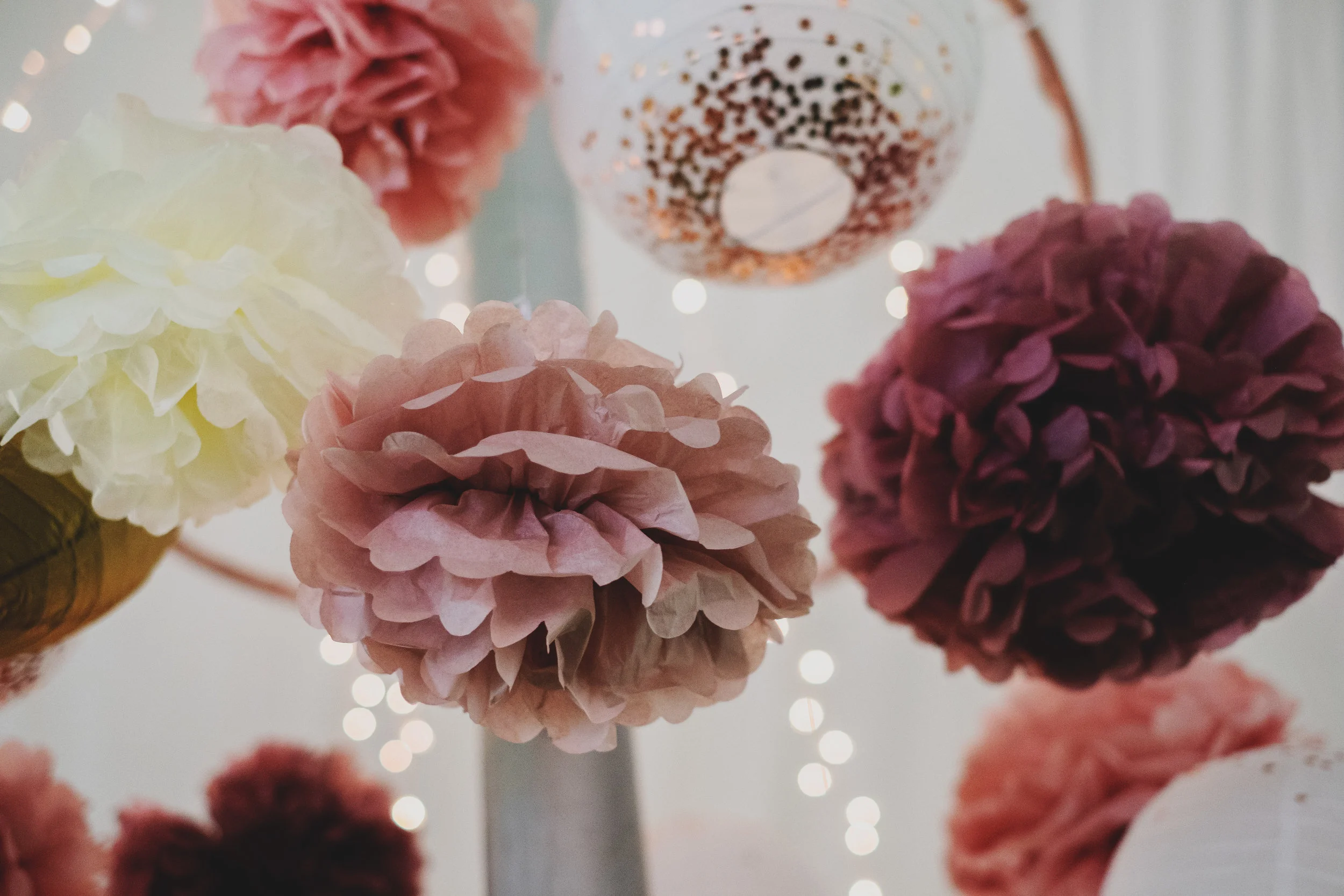 Boll-Wedding1_0079.jpg