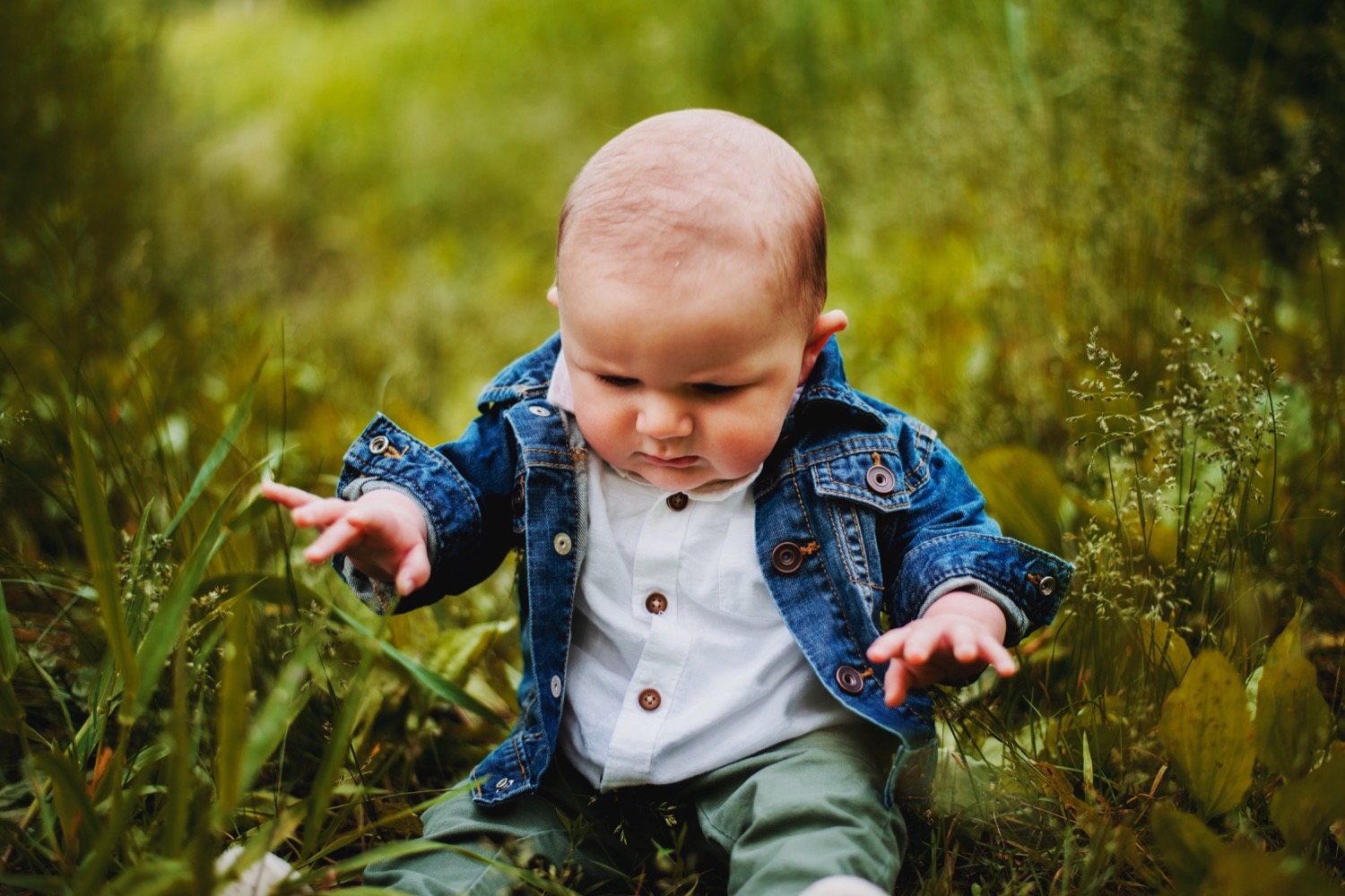 13_Jameson-Baby-BlackwellForest_0210.jpg