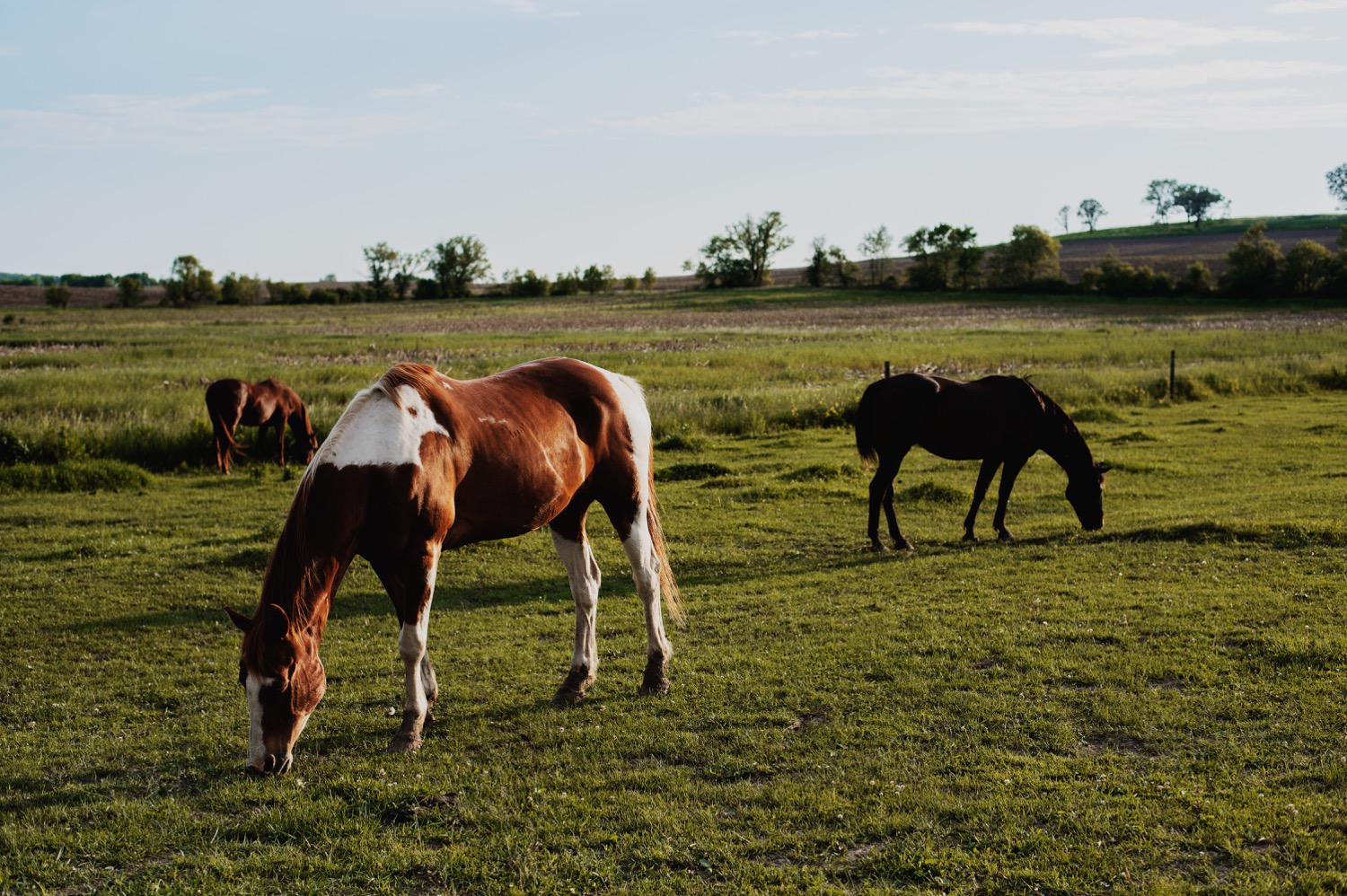 098_Bowden-Pavlocik-Galena-OakHillFarm-Wedding_0154.jpg