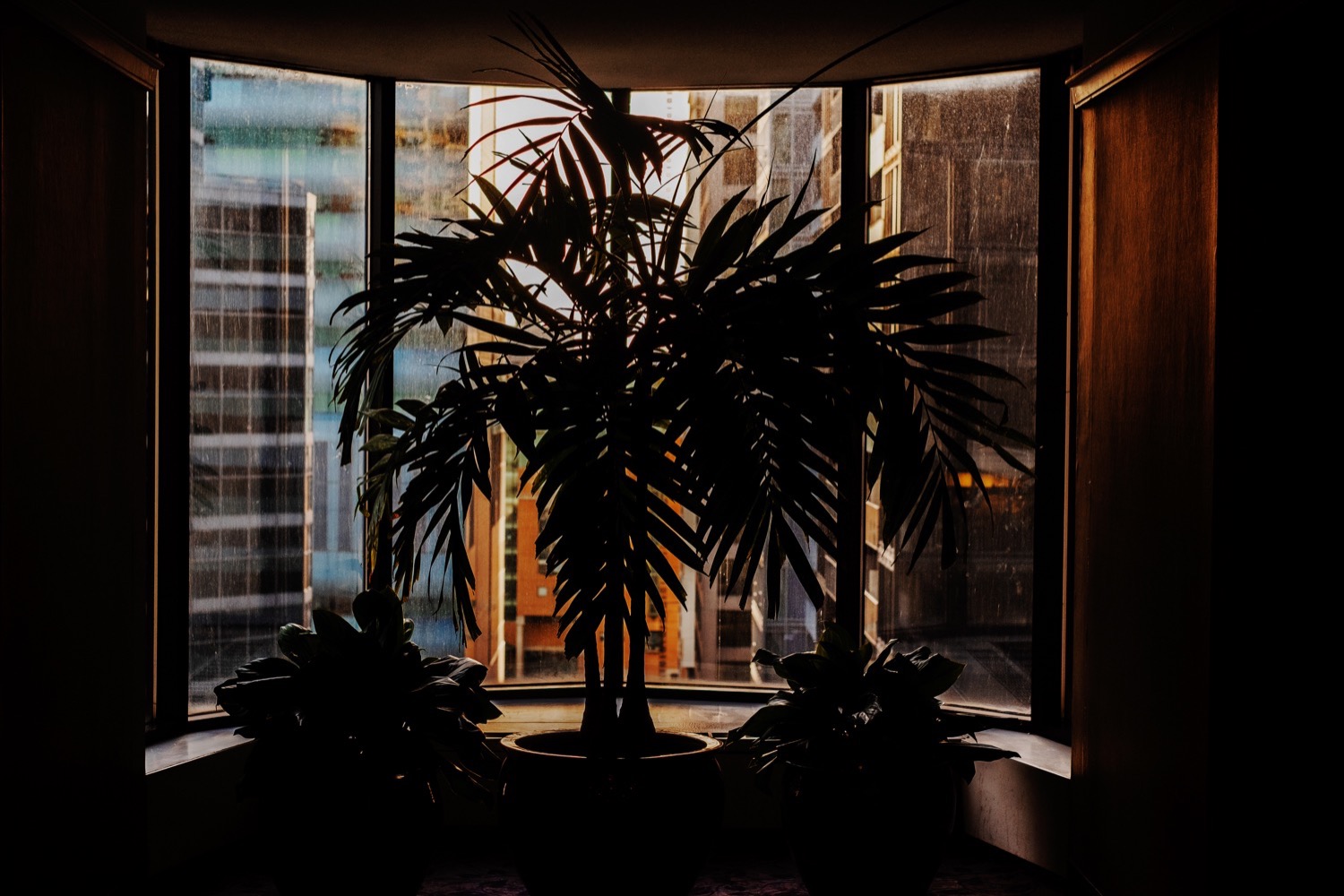 12_Toronto-2019_0043.jpg