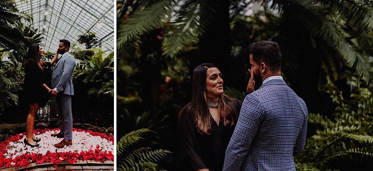 14_Hardik-Reena-GarfieldConservatory-Engagement-41_Hardik-Reena-GarfieldConservatory-Engagement-47.jpg