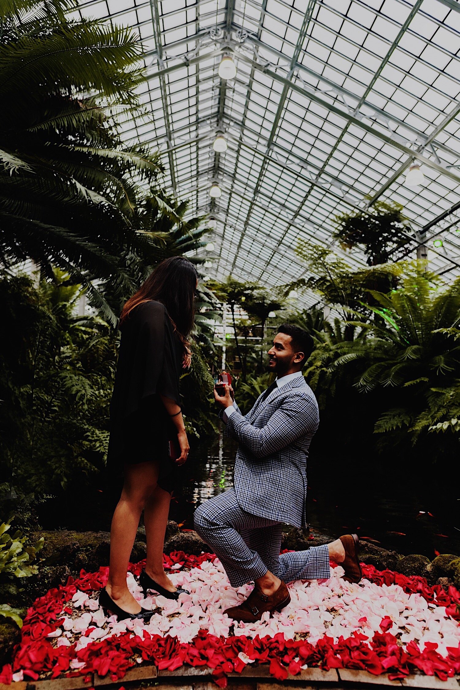 21_Hardik-Reena-GarfieldConservatory-Engagement-58.jpg