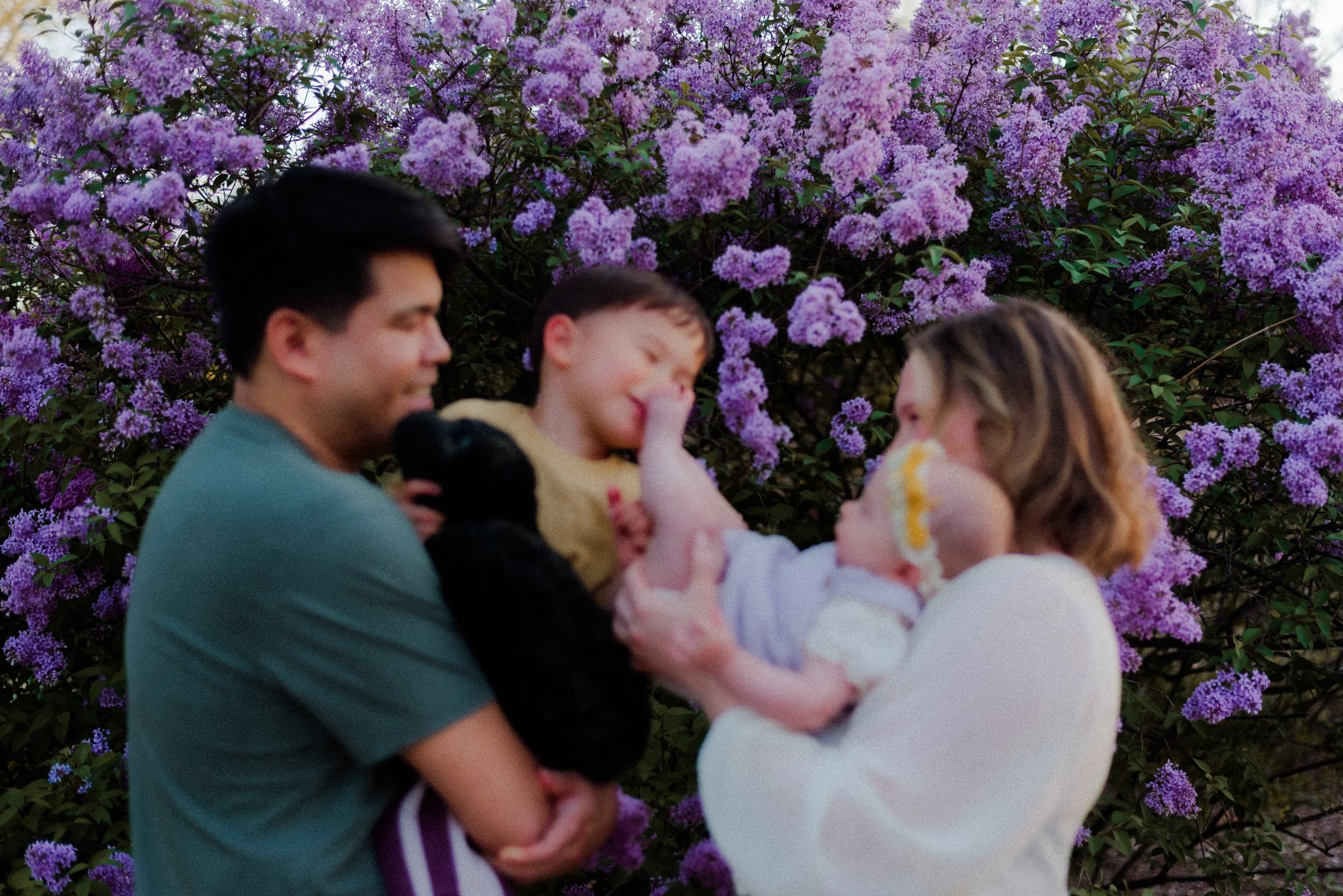 Gillen Family Lilacia Park Lombard Illinois Minis Sessions 2026 // Chicagoland Family Photographer