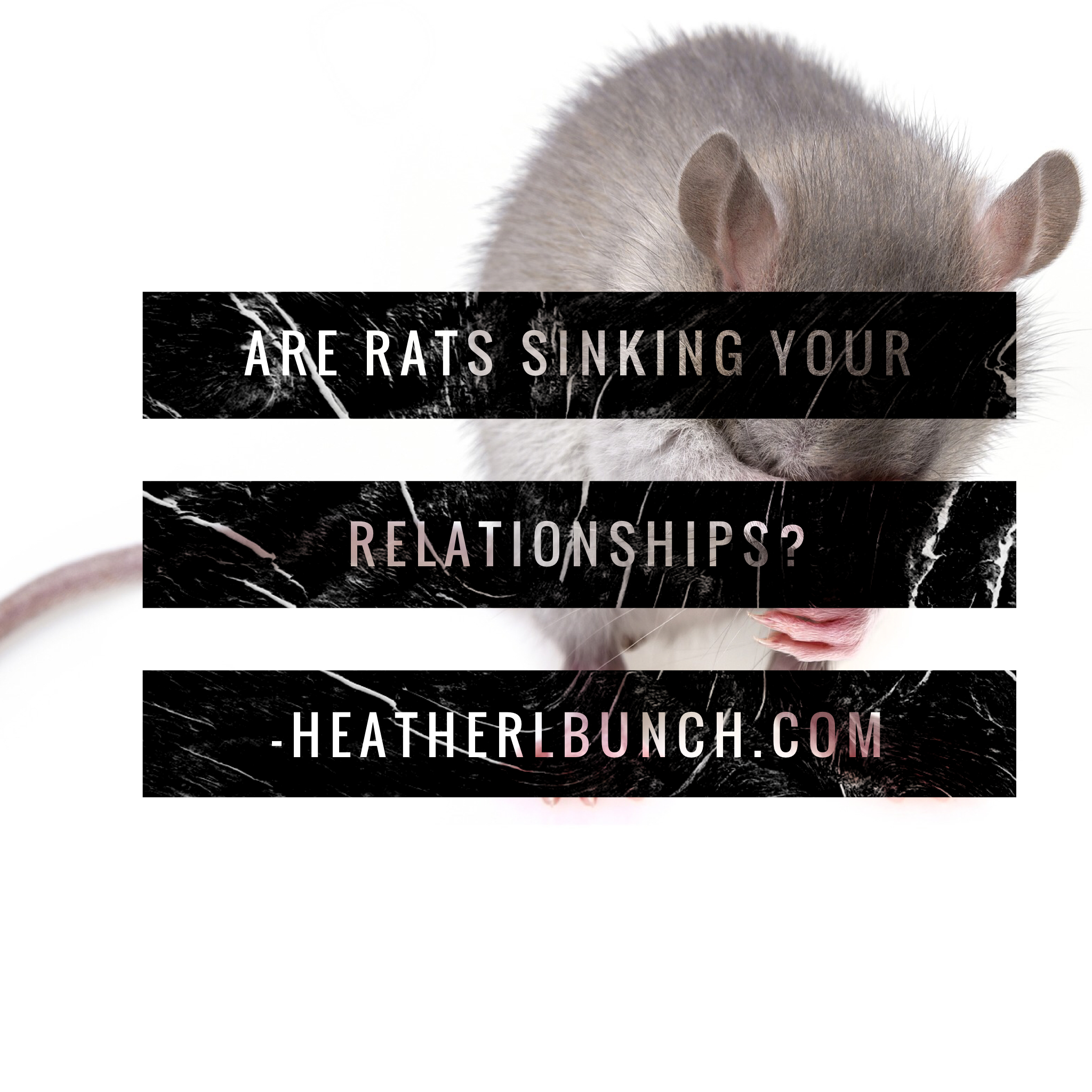 Are RATs sinking your relationships?