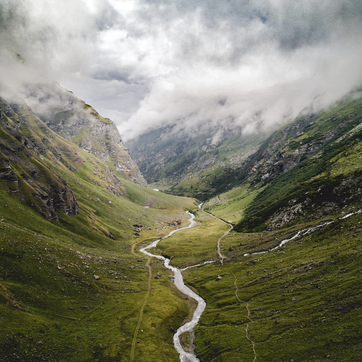 Photo by Mario Álvarez on Unsplash