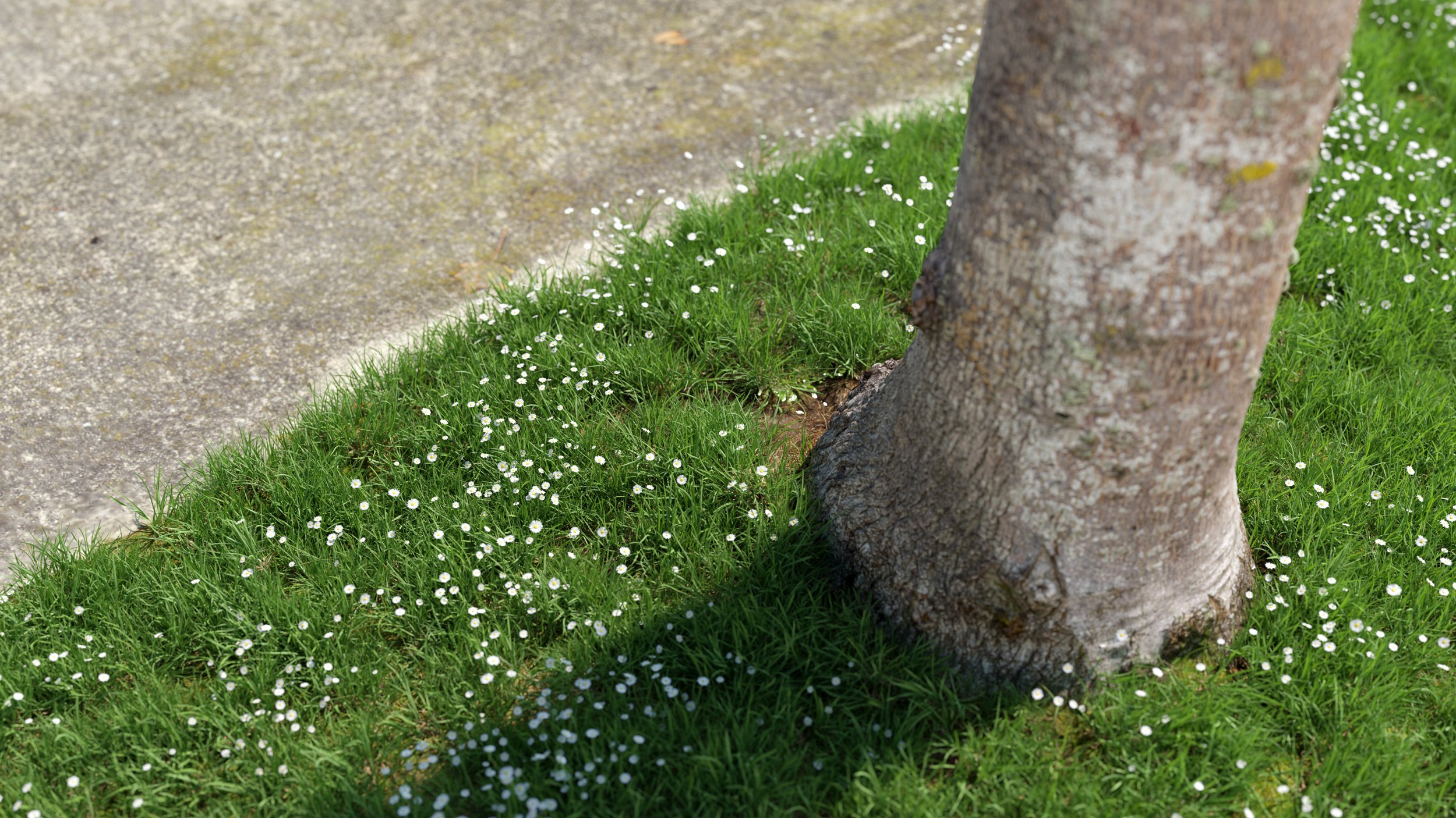 Tree render01.jpg