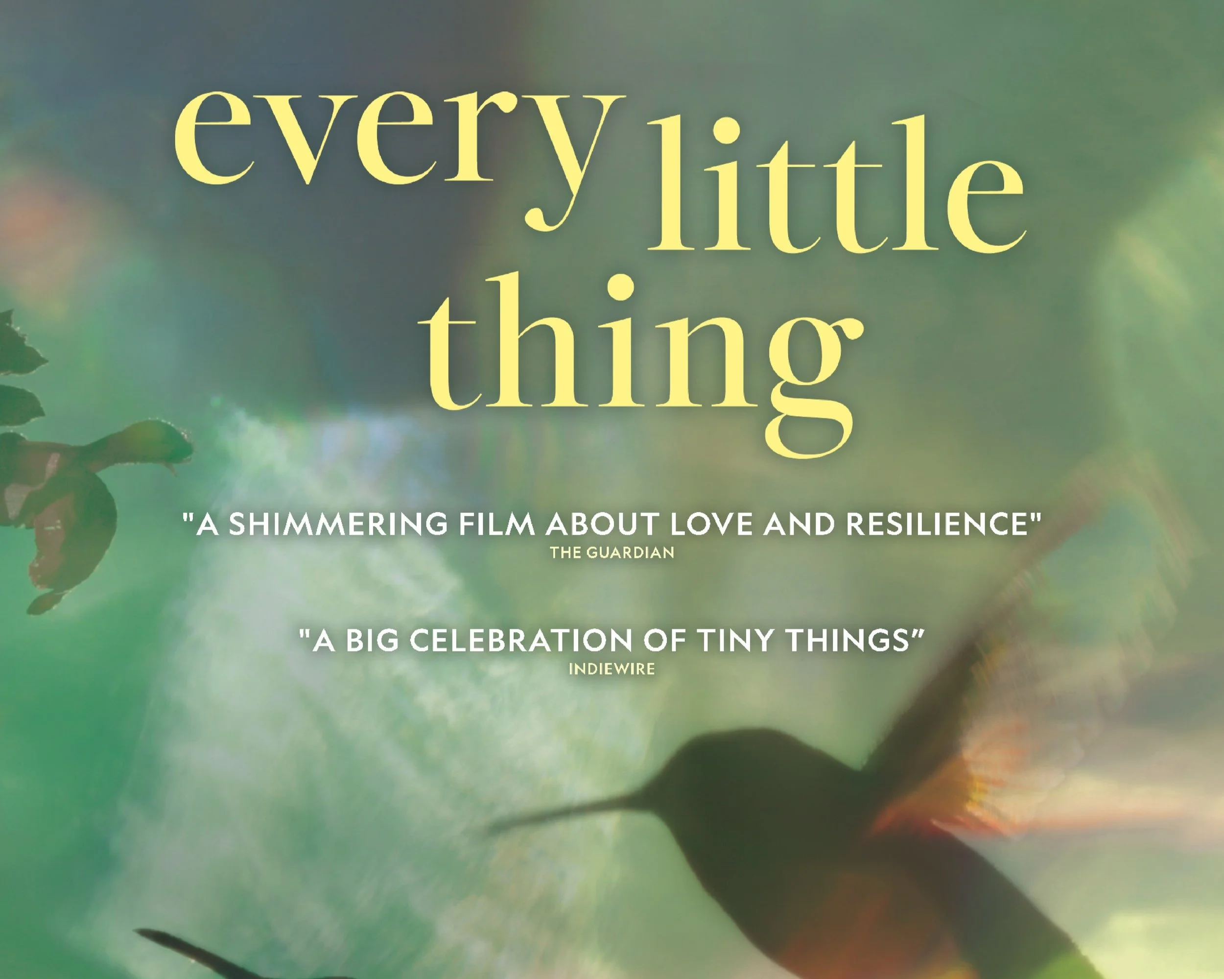 Win Every Little Thing movie tickets