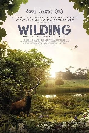 Win Wilding tickets