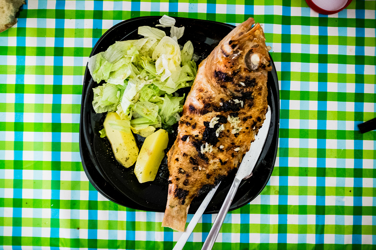 20160919-_DBF0017.jpg