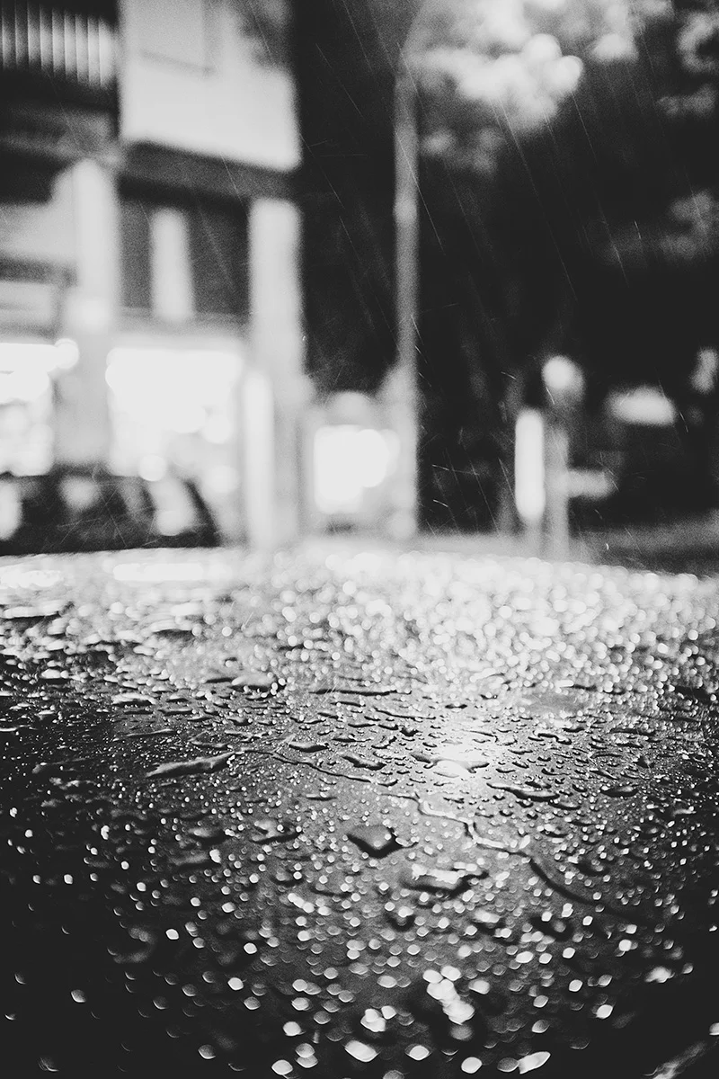 20161022-_DBF0096.jpg