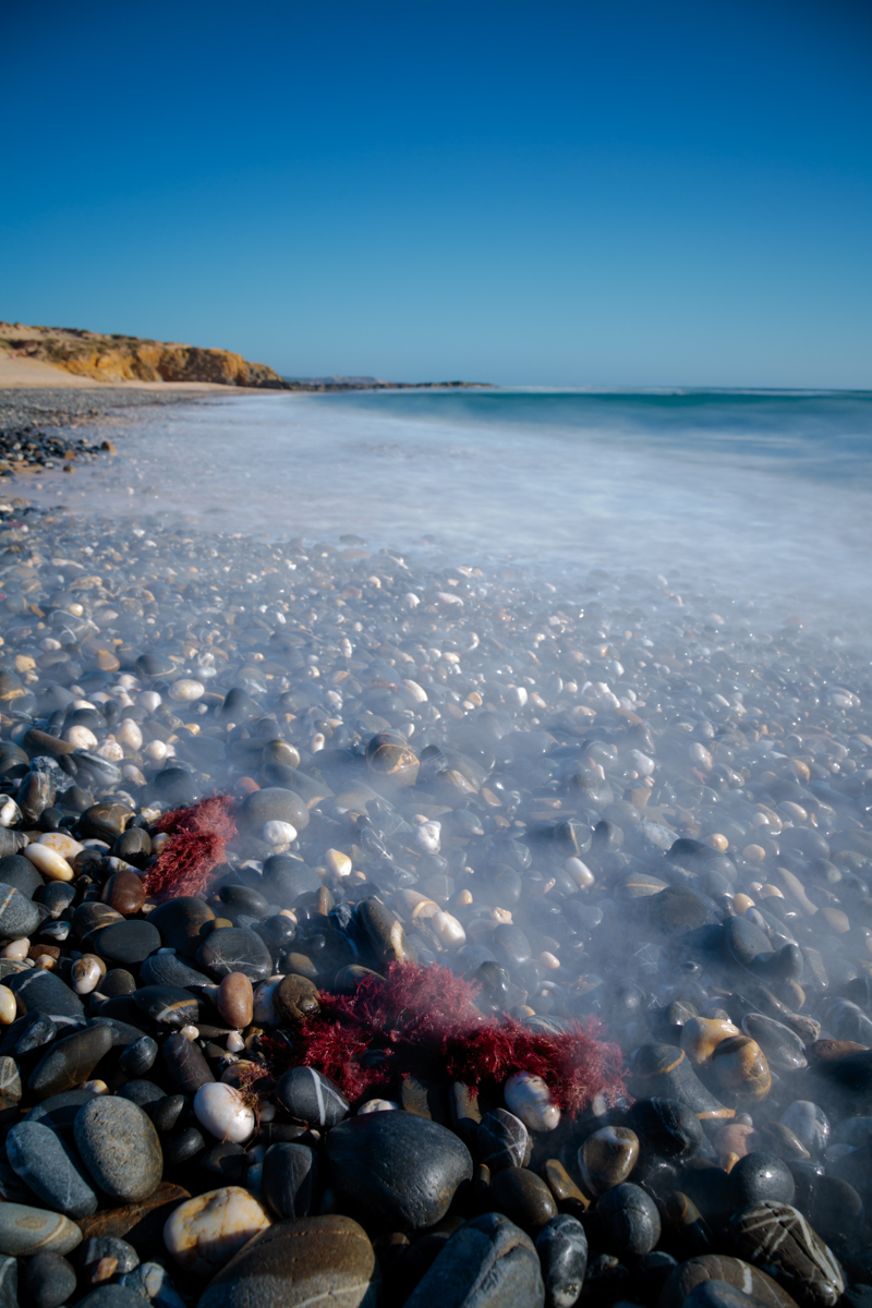 Love the contrast between the red algae and the ocean