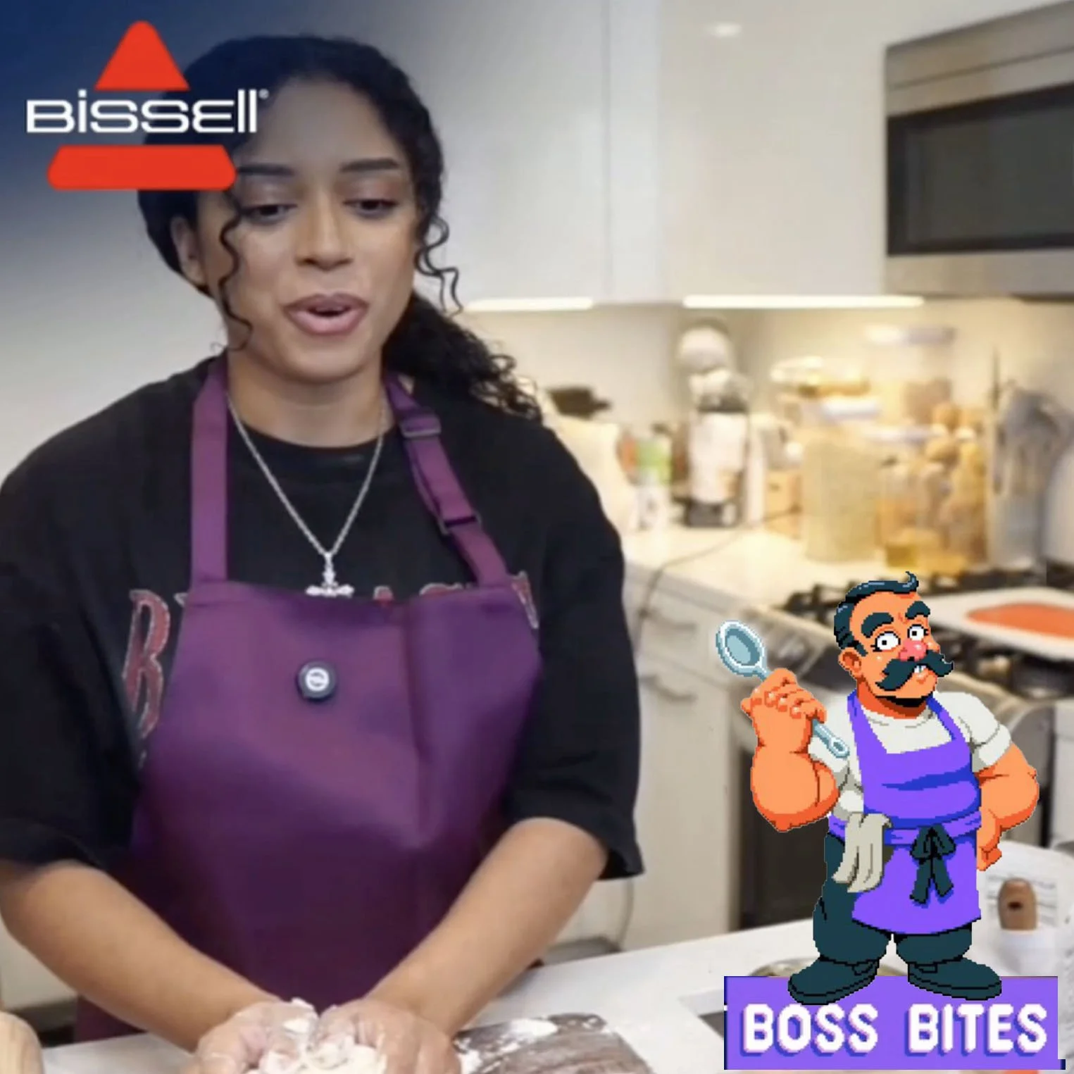 BISSELL BOSS BITES