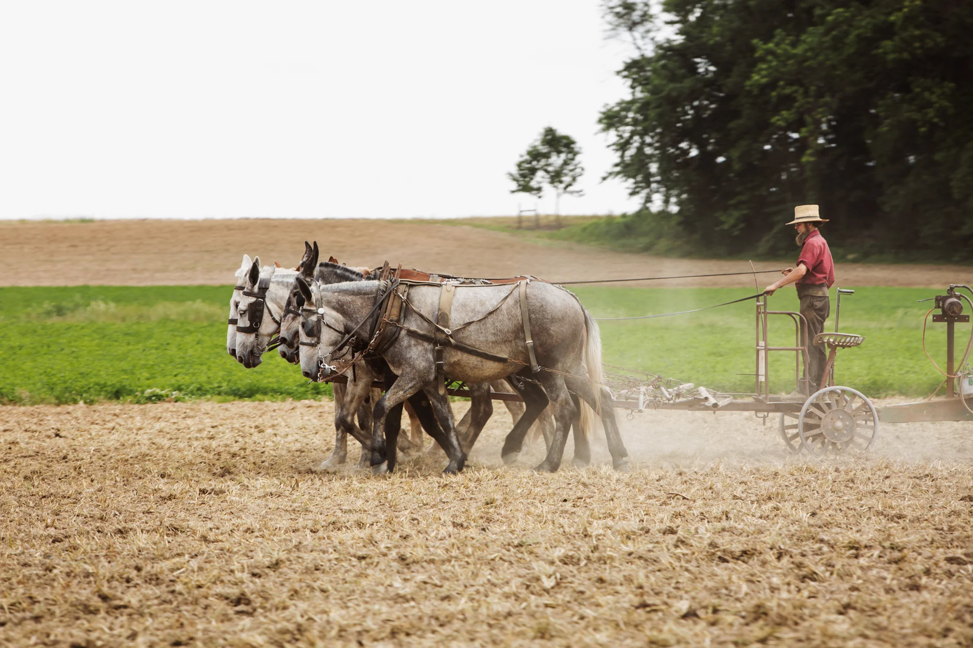 pennsylvania-farm-photos-0675_x1b.jpg