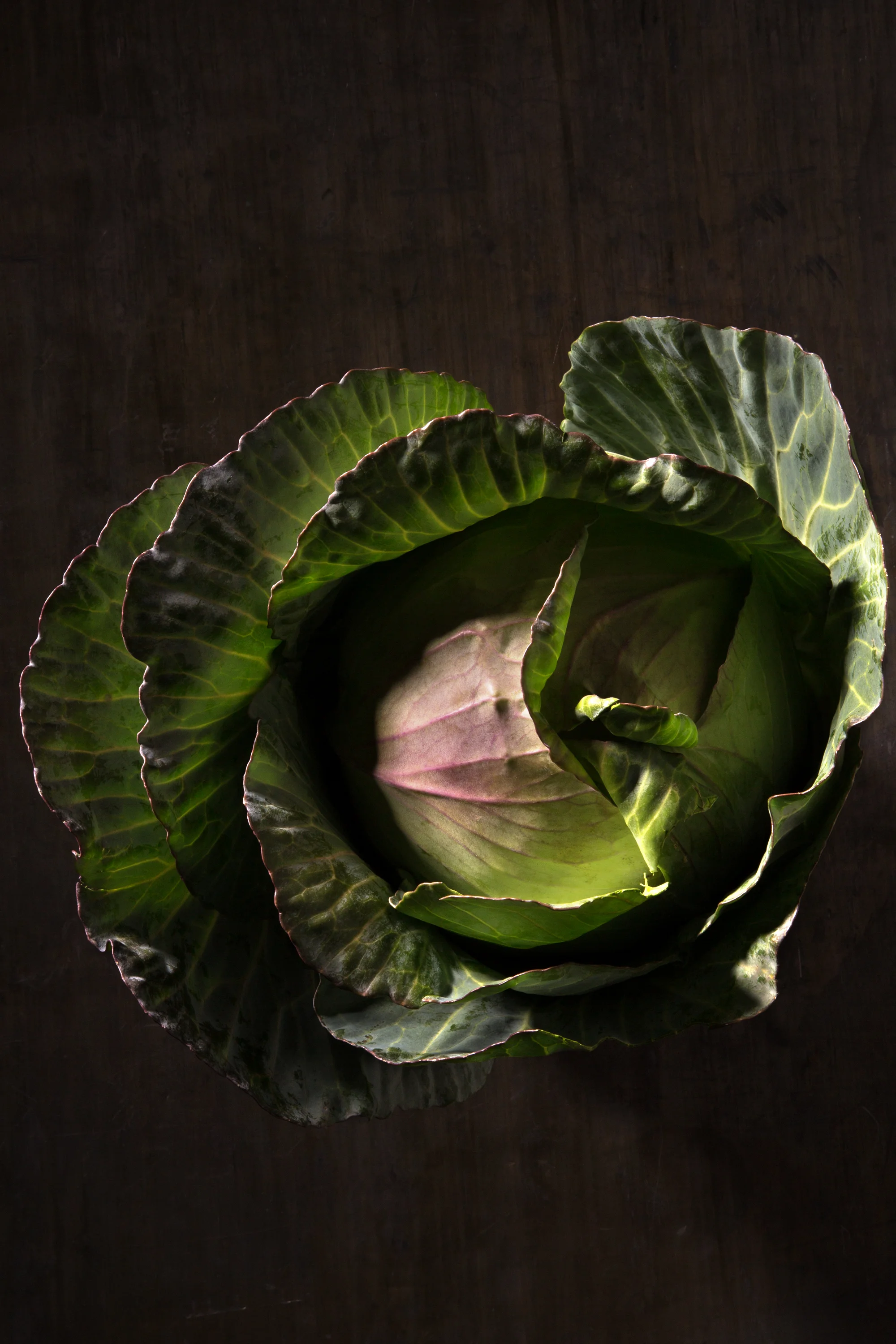 cabbage-0139-d112746.jpg