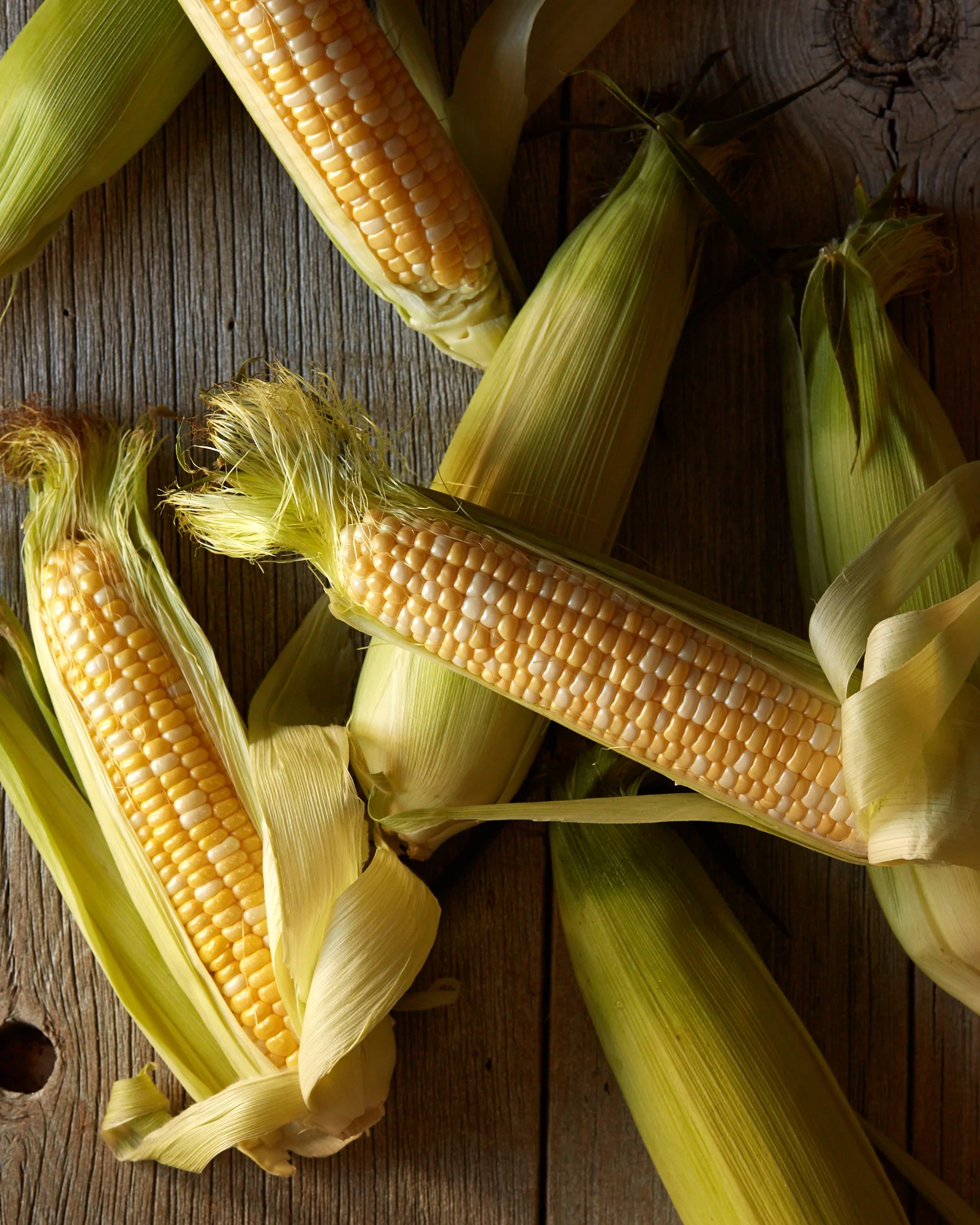 11049-corn-group-social-0916.jpg