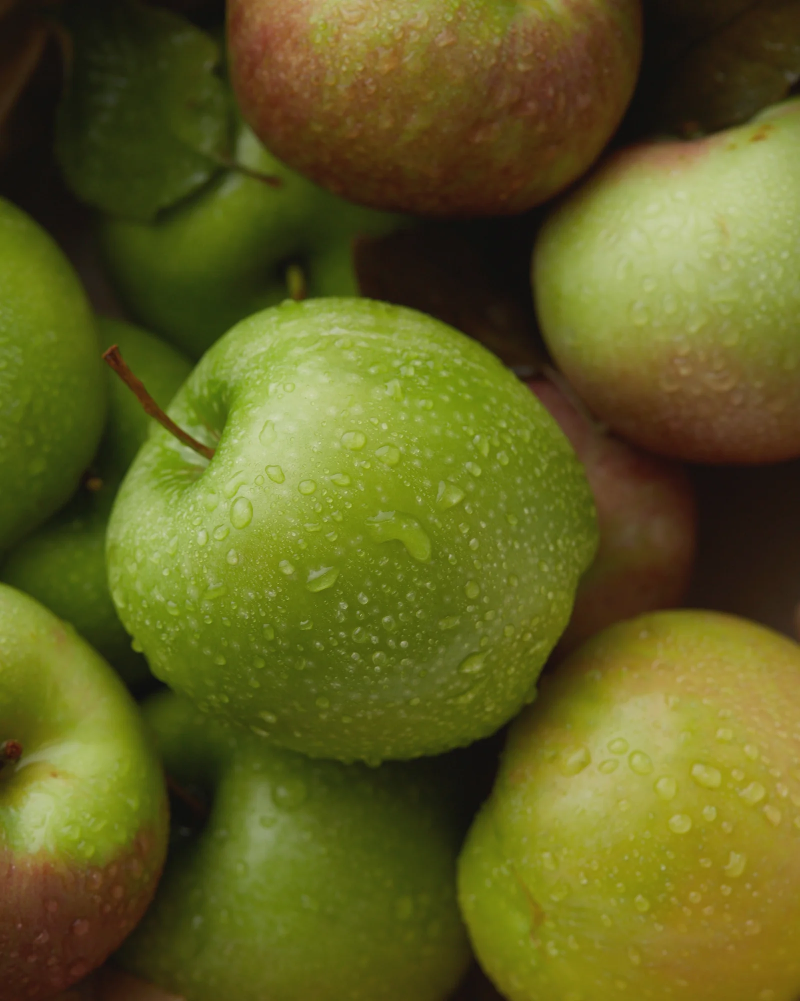 3984-apple-savory-social-10-2016.jpg