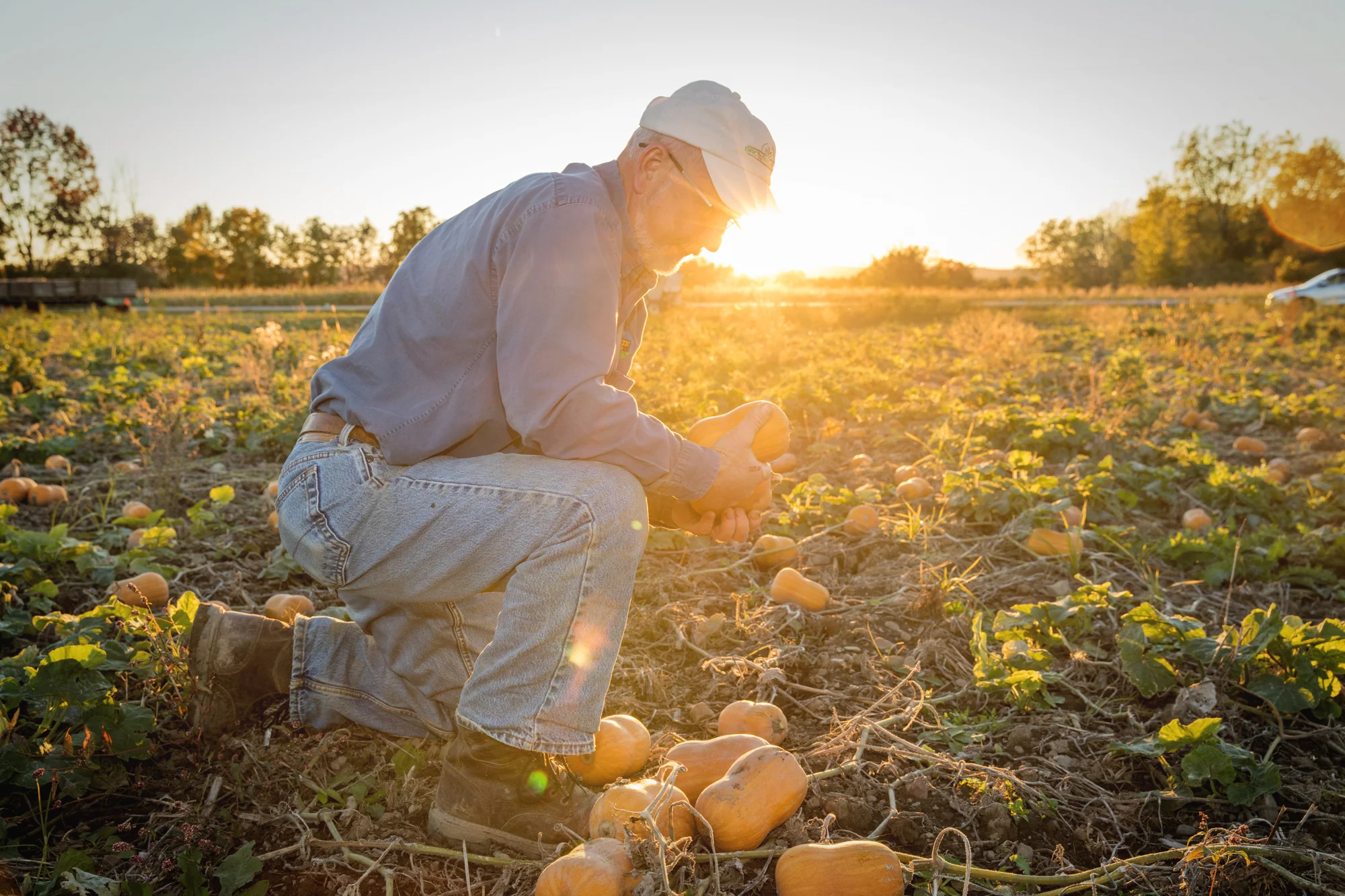 8676-pedersen-farms-ny-10-2016.jpg