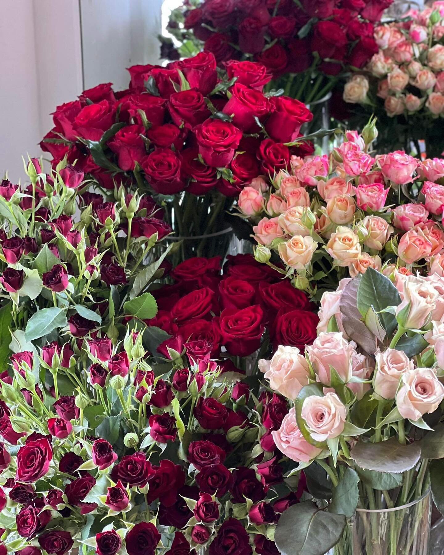 Flowers for your gal, your pal or simply for you ~ because you deserve it 😉

If you haven&rsquo;t ordered yours, this is your friendly reminder that tomorrow midday is the final cut off for V-Day orders&hellip; 🏹 (unless sold out prior)